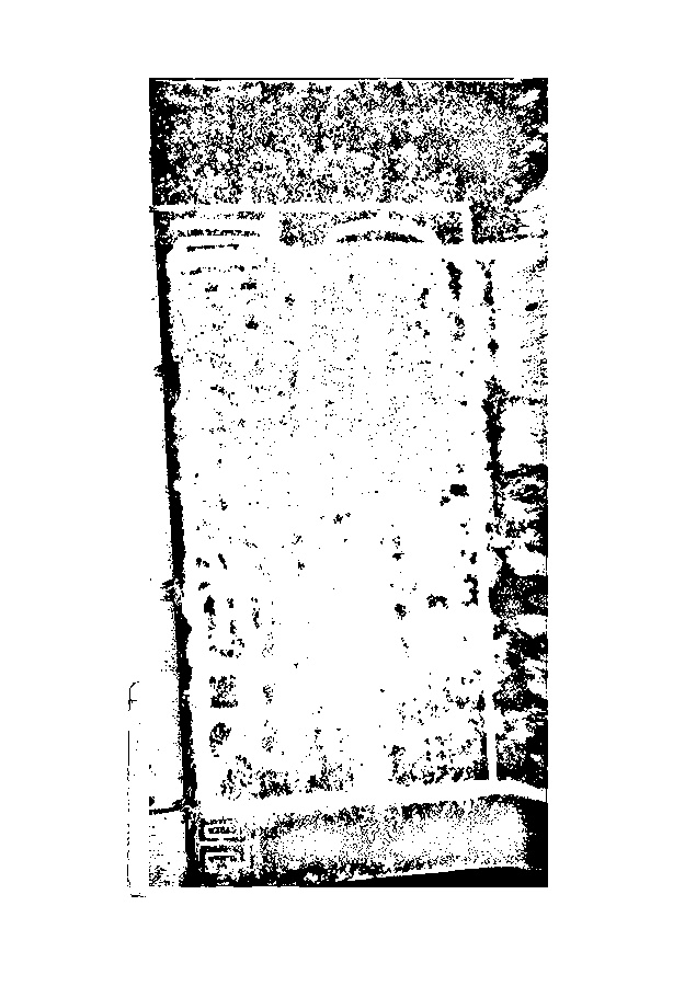 家谱第一张图片