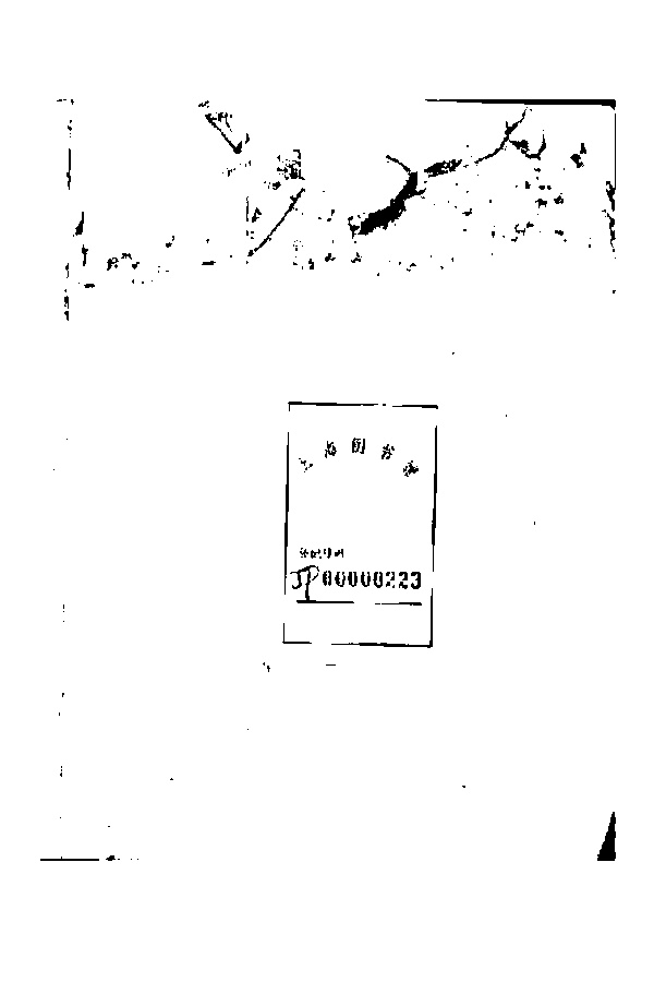 家谱第一张图片