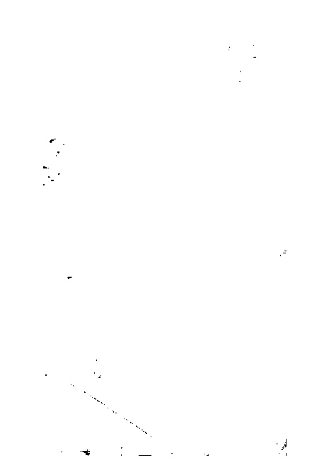 家谱第一张图片