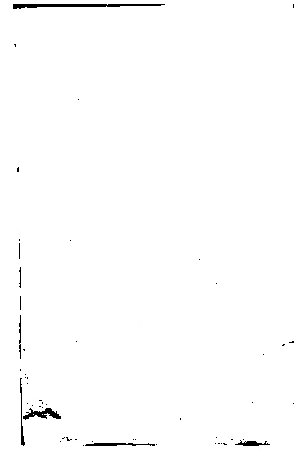 家谱第一张图片