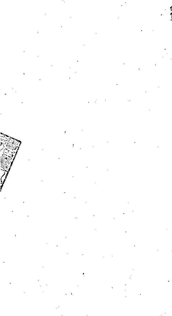 家谱第一张图片