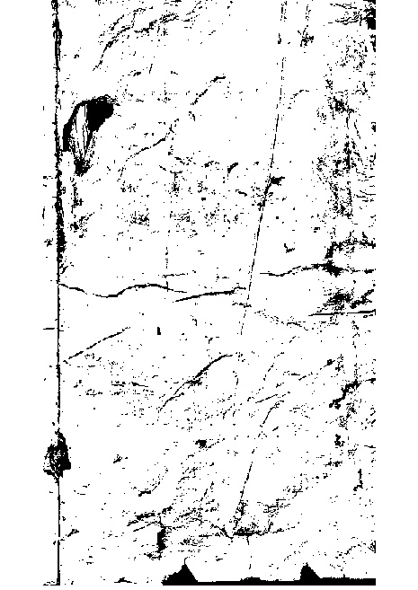 家谱第一张图片