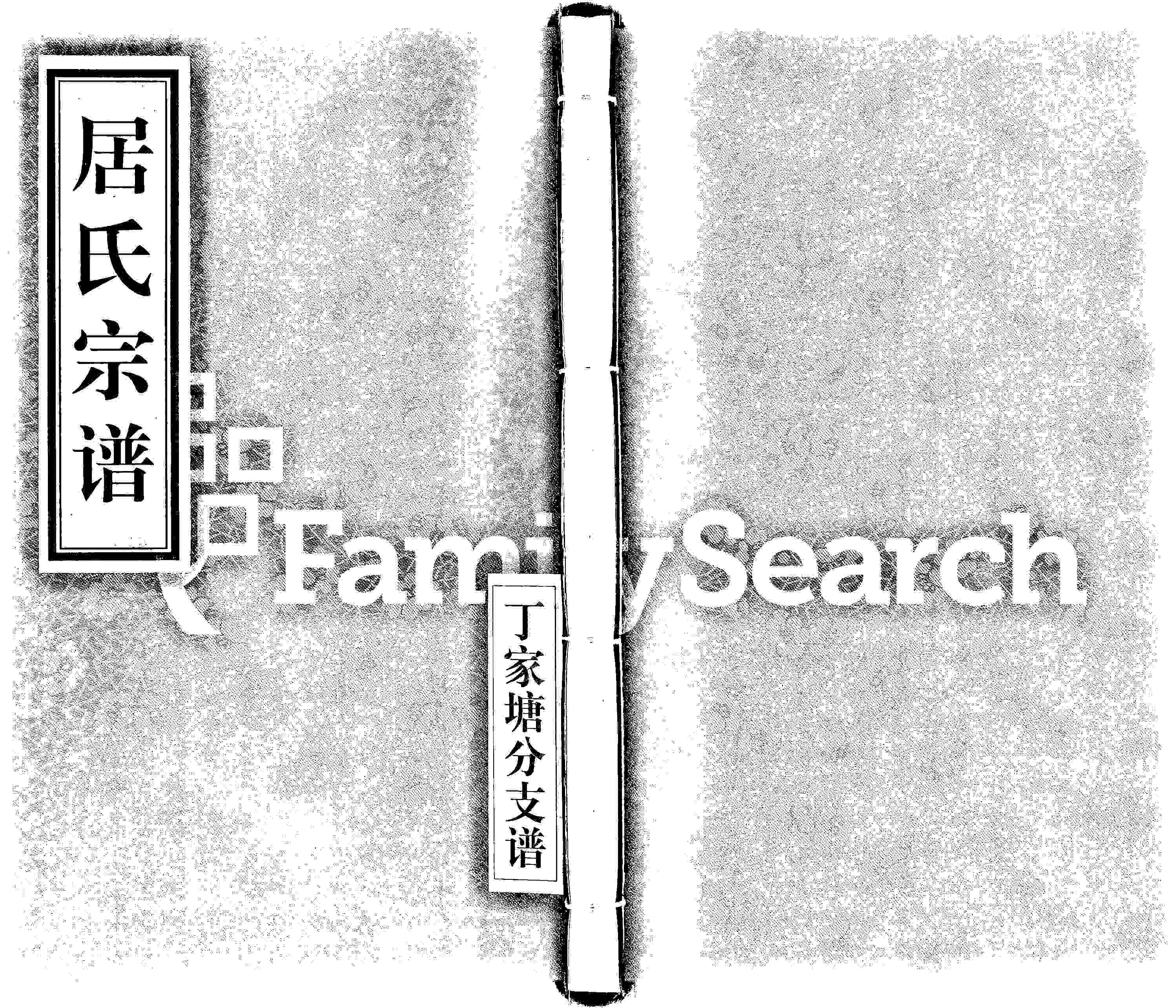 家谱第一张图片