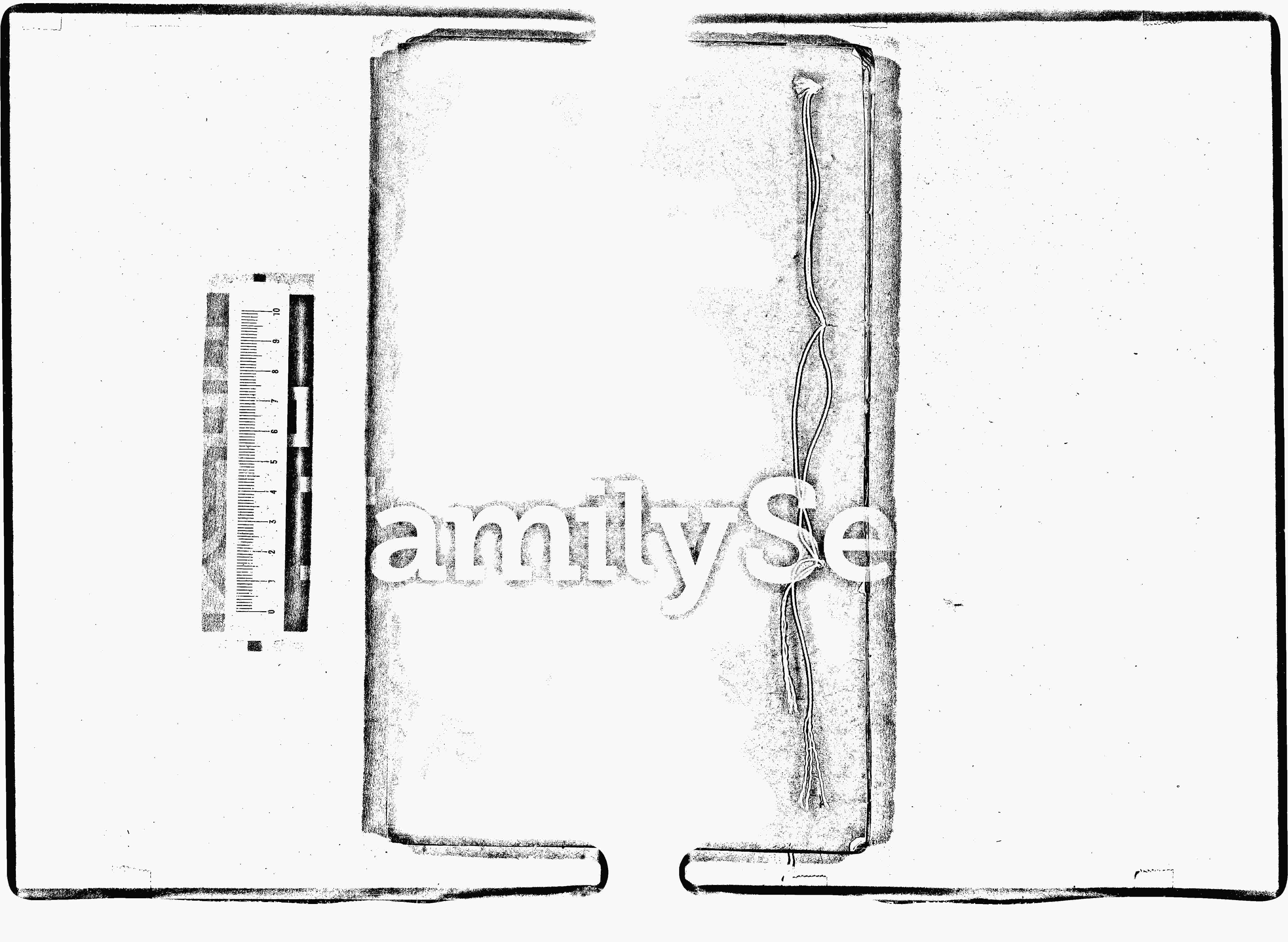 家谱第一张图片