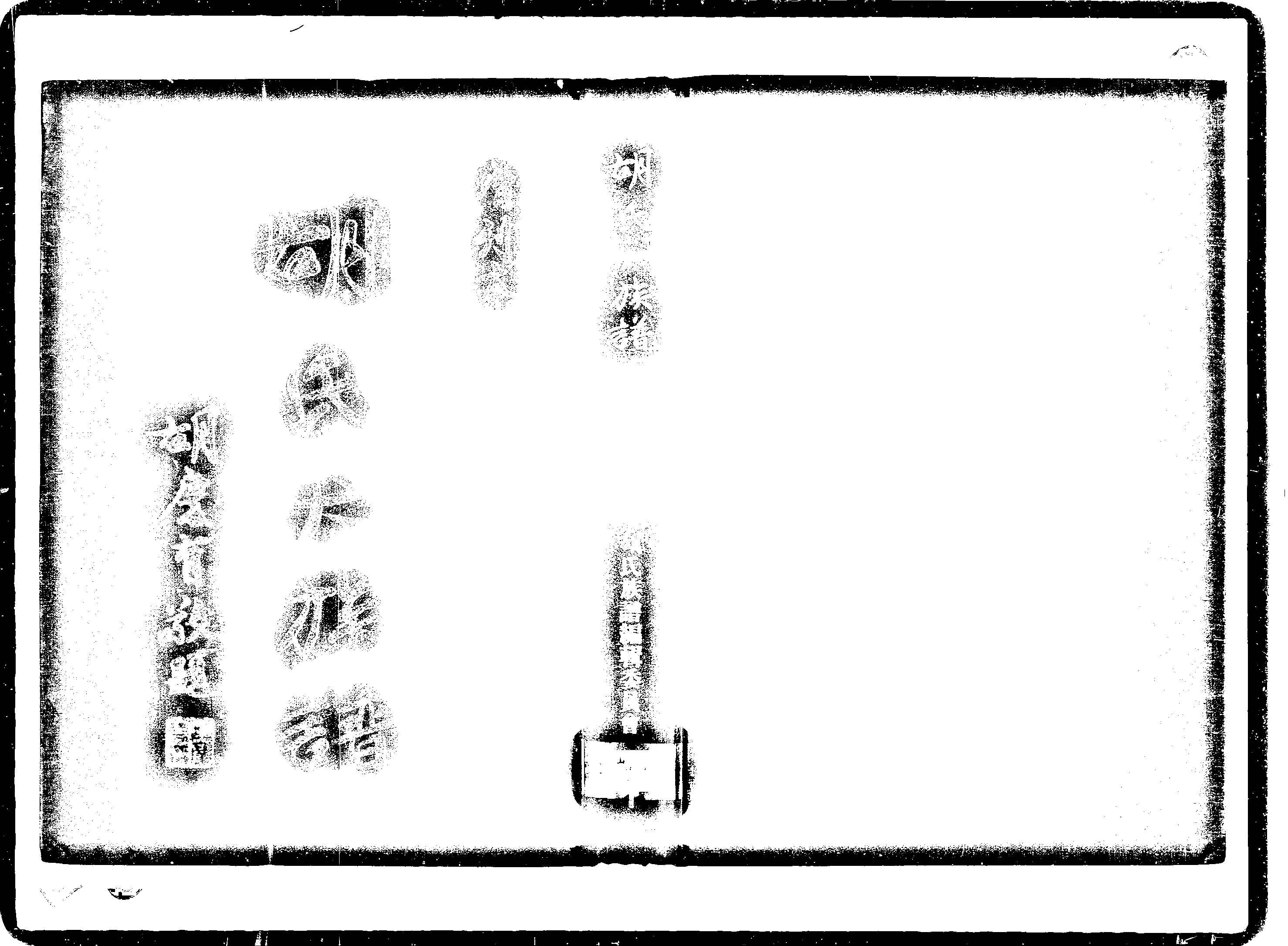 家谱第一张图片