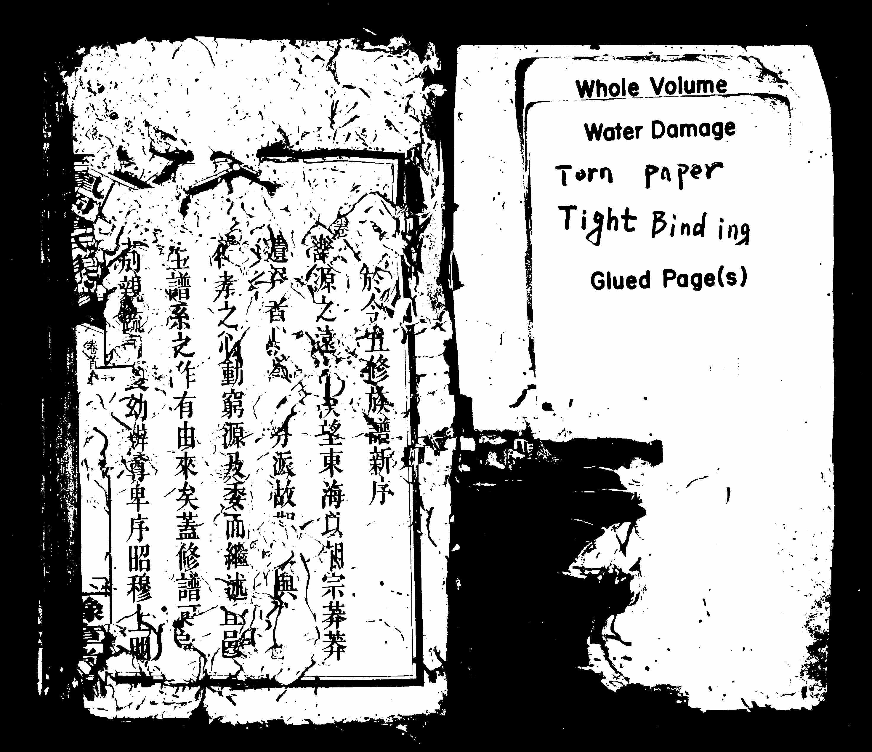 家谱第一张图片