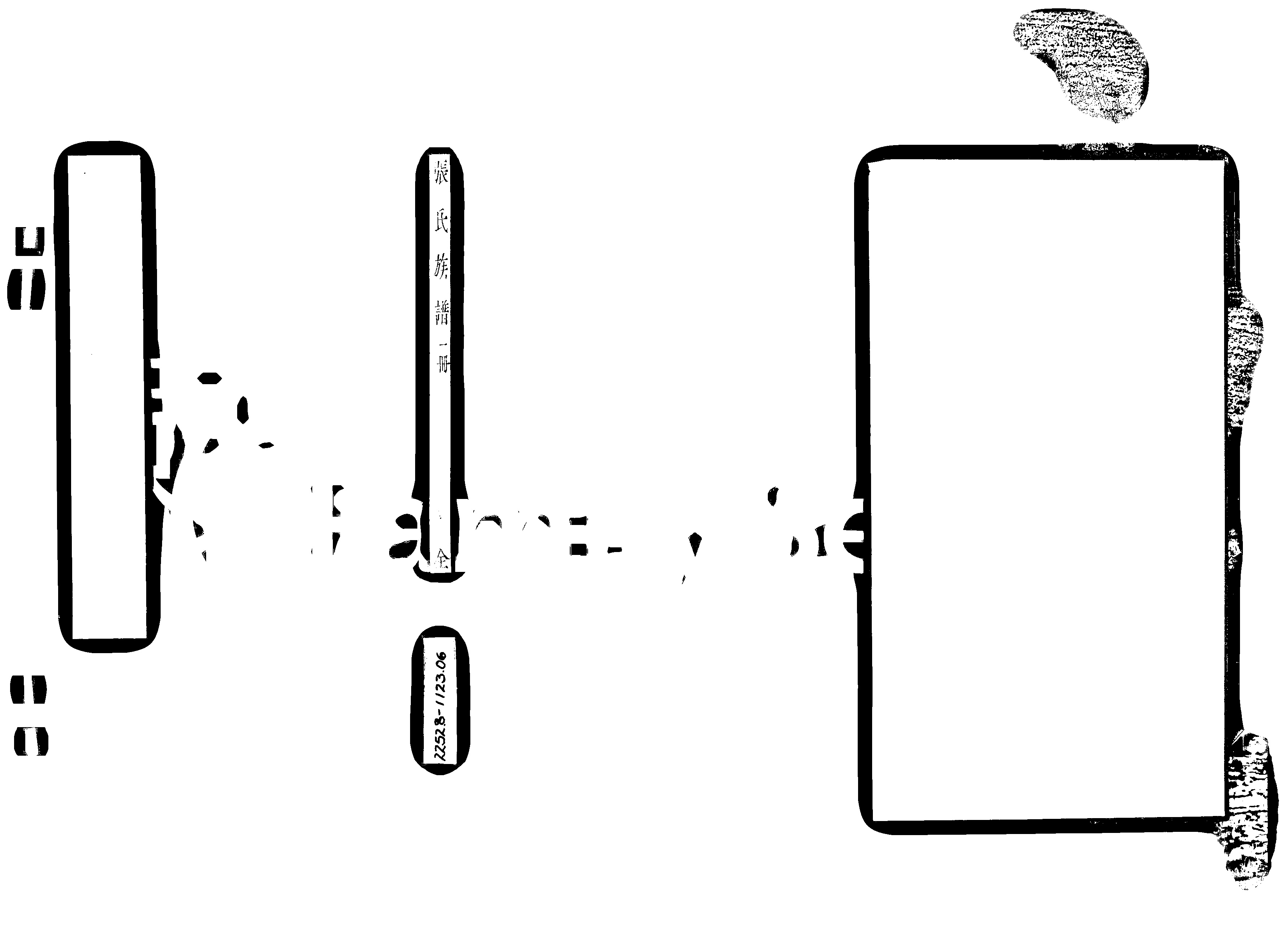 家谱第一张图片