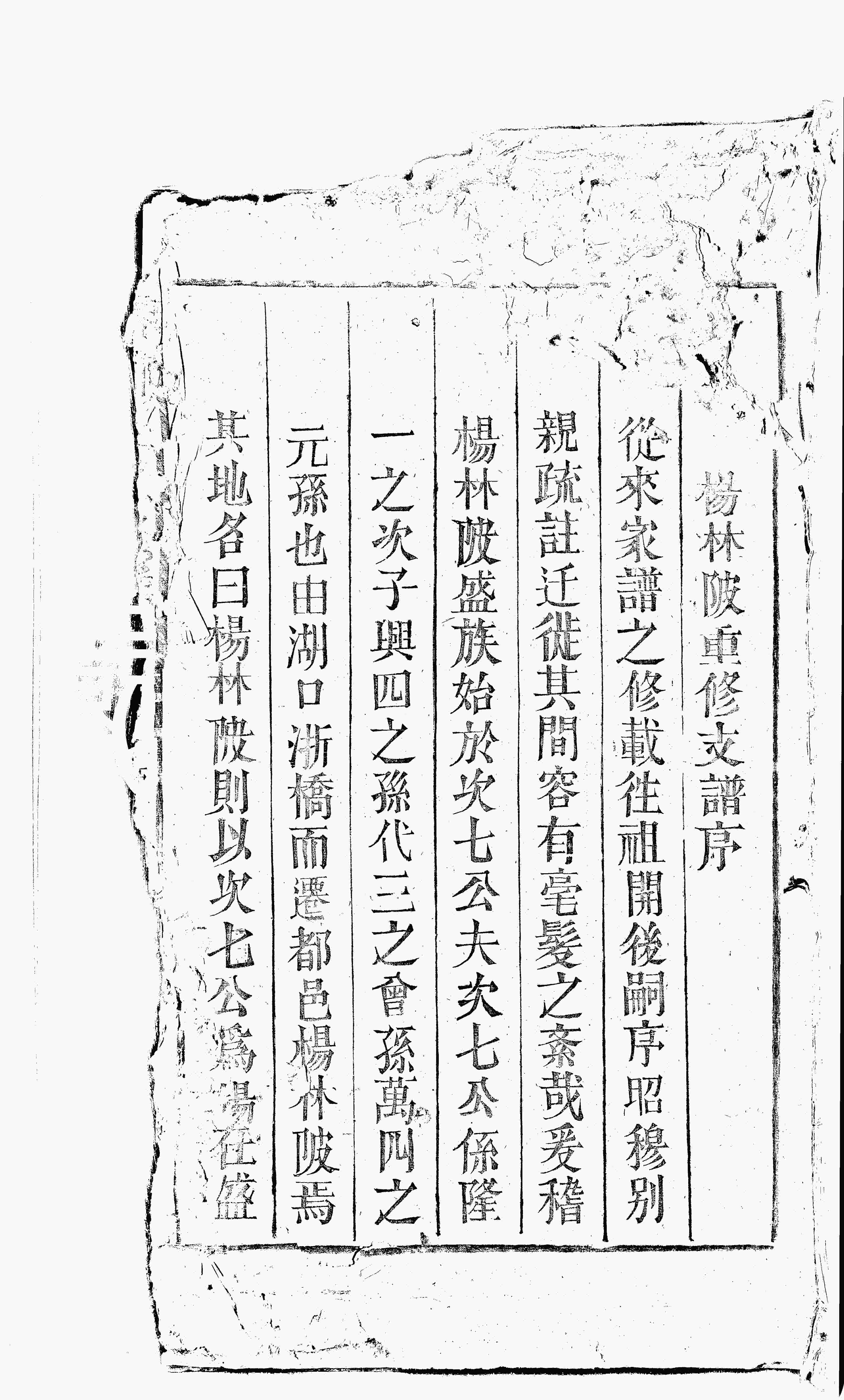 家谱第一张图片