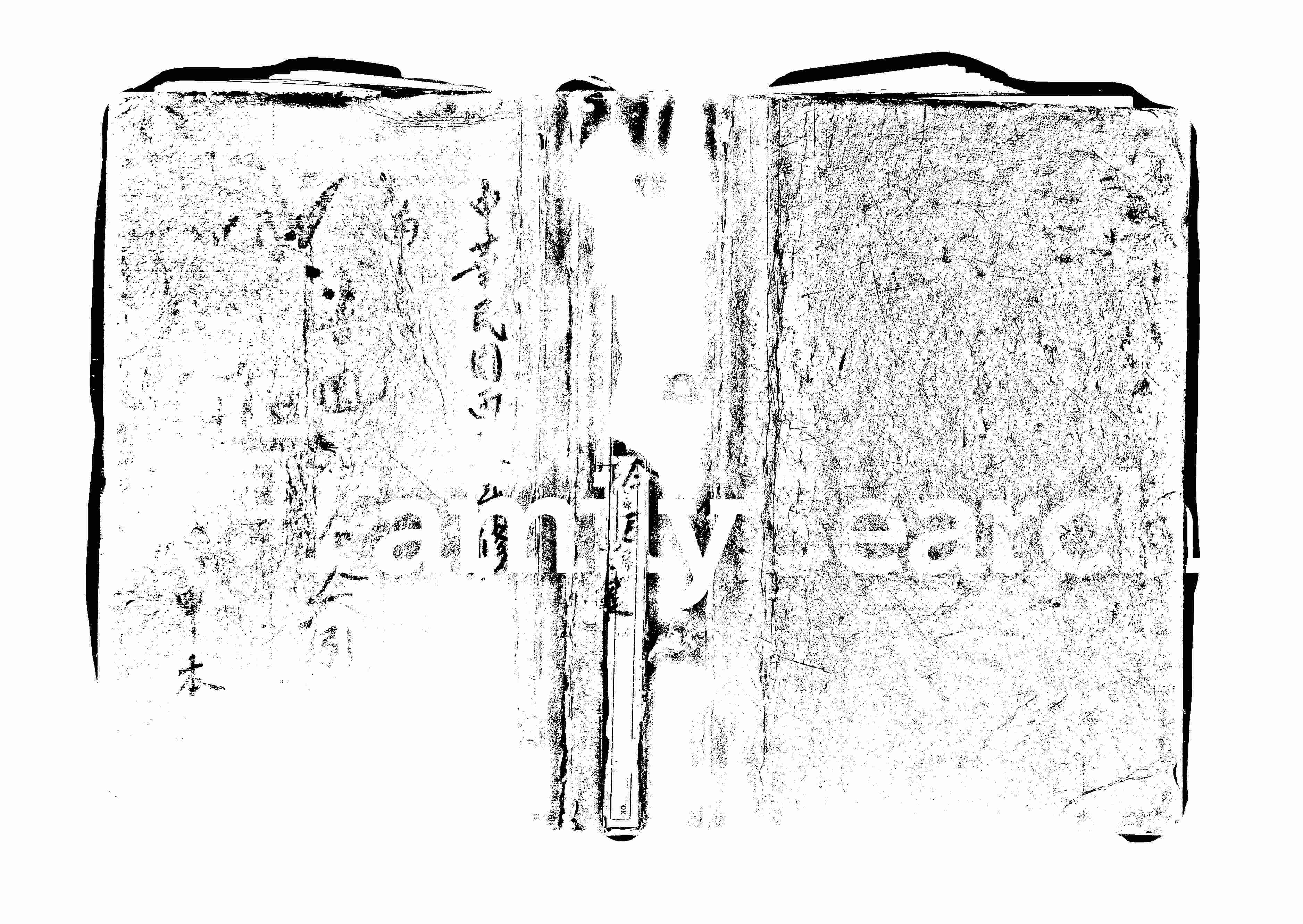 家谱第一张图片