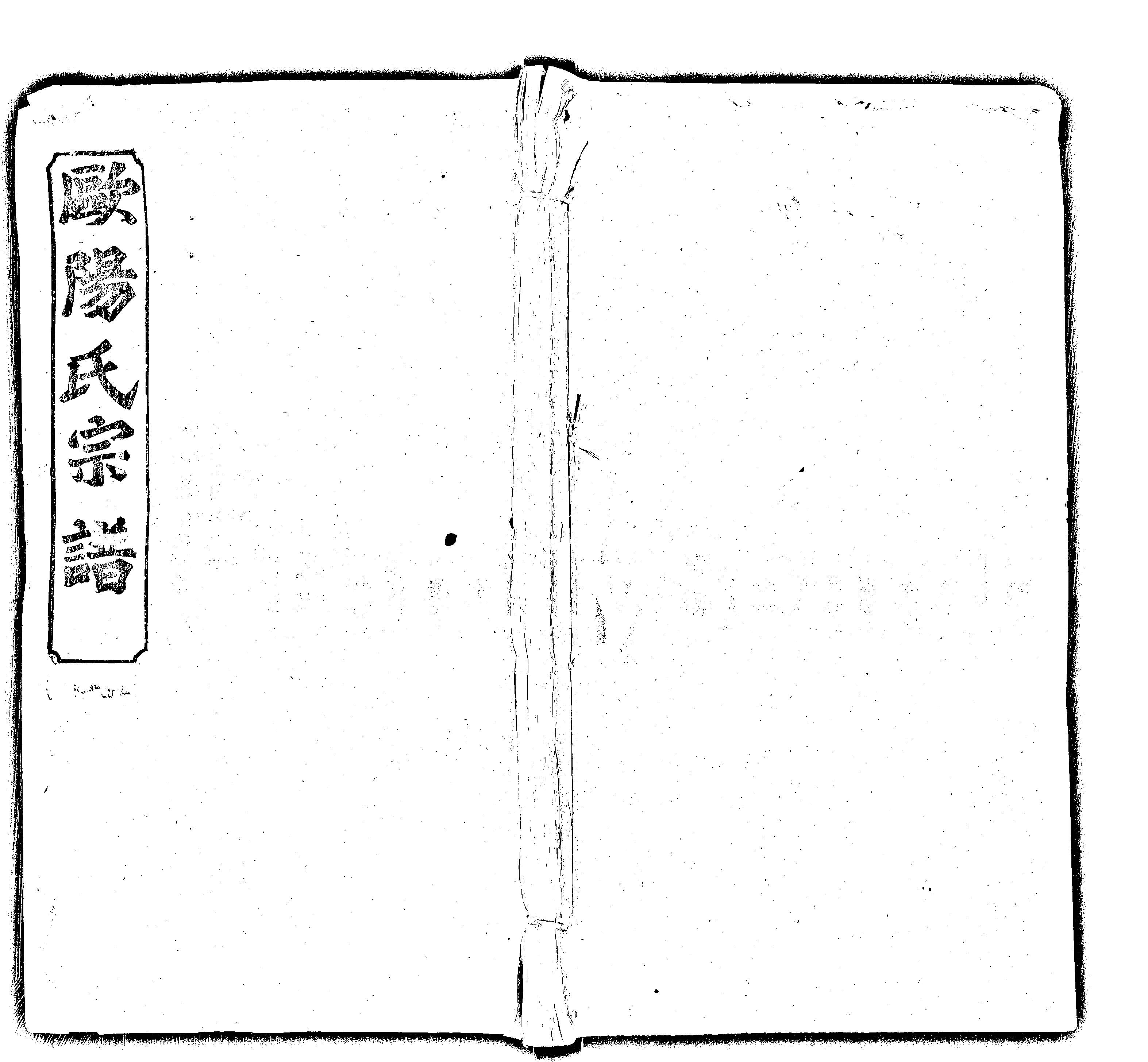 家谱第一张图片