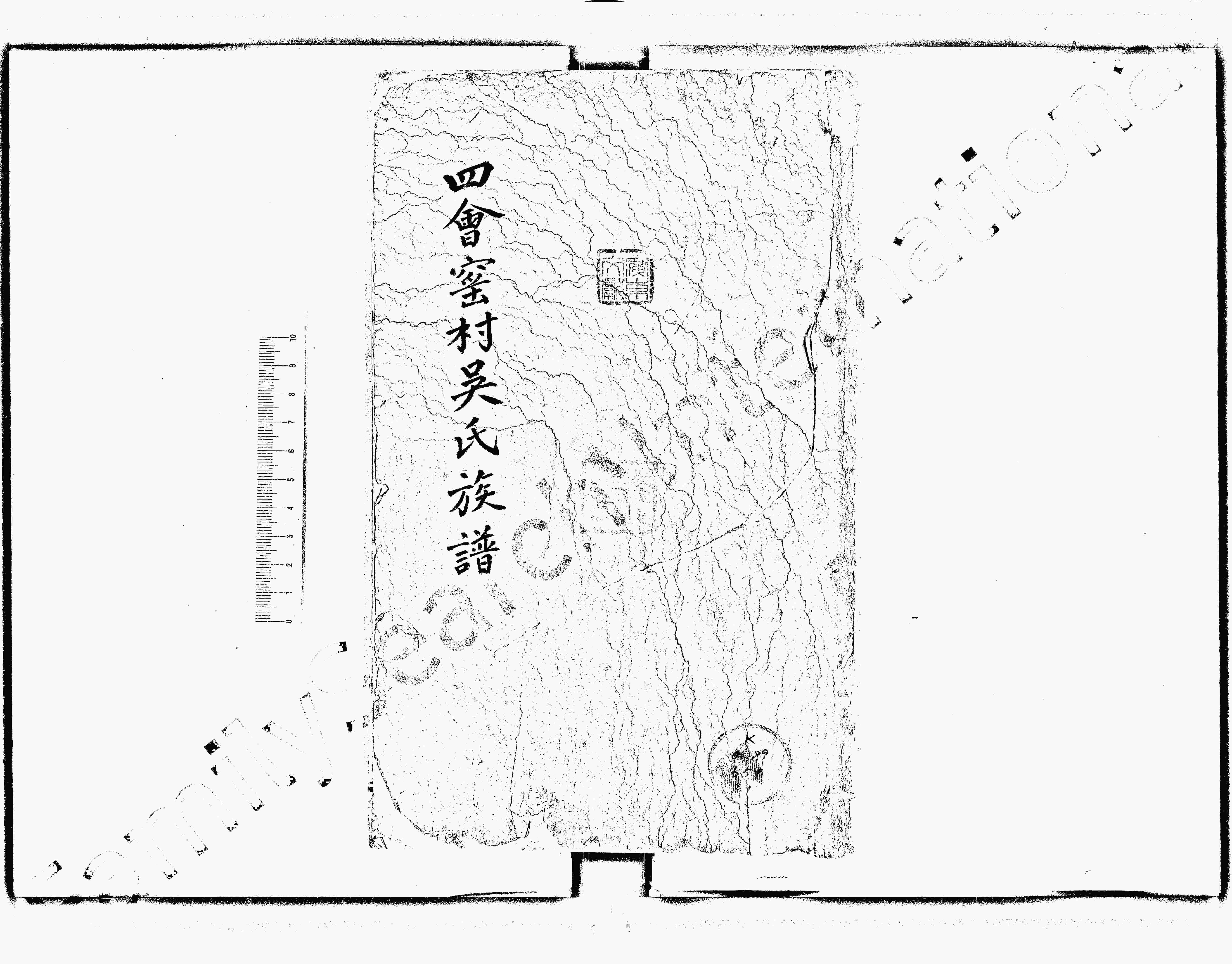 家谱第一张图片