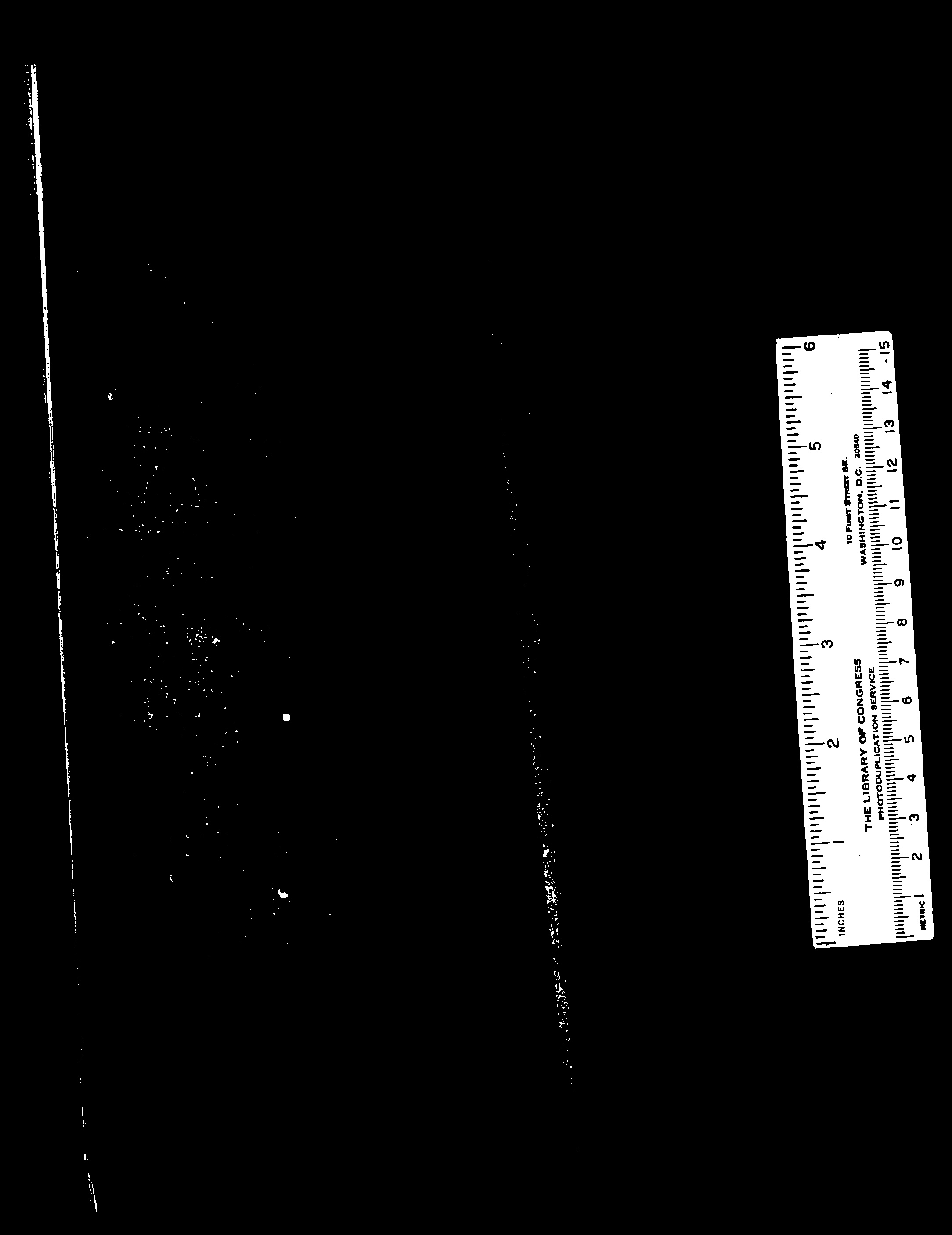 家谱第一张图片