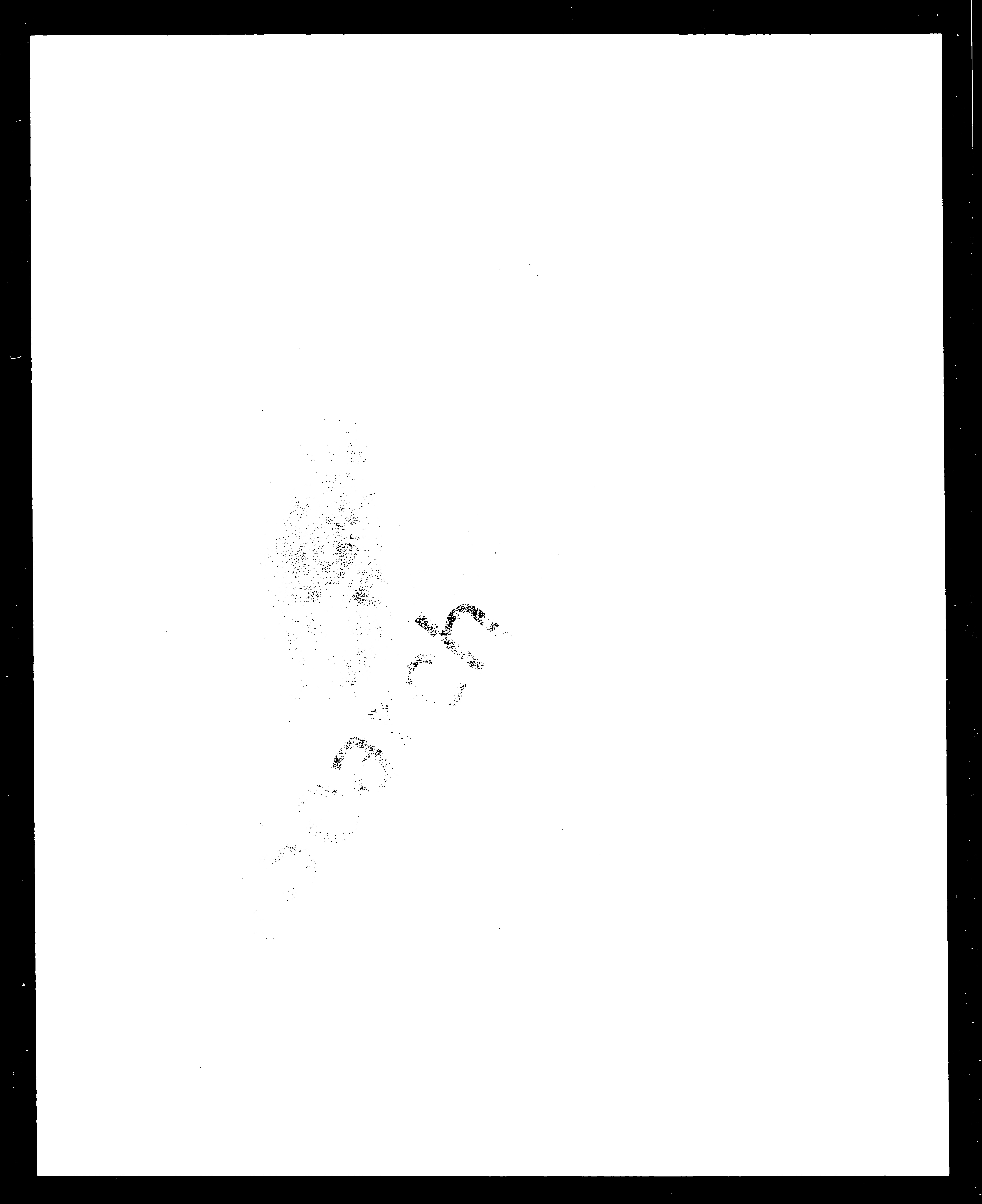 家谱第一张图片