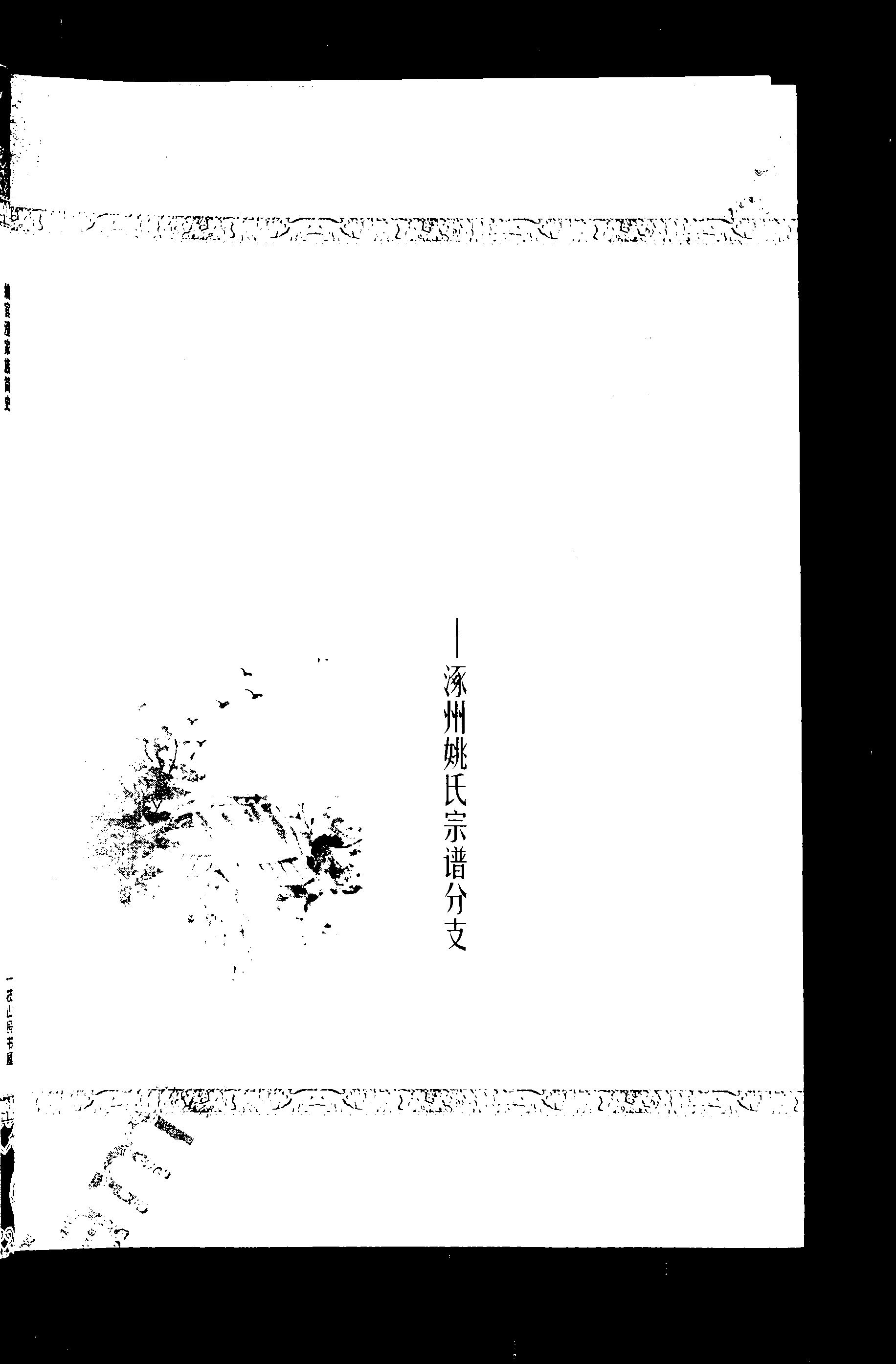 家谱第一张图片