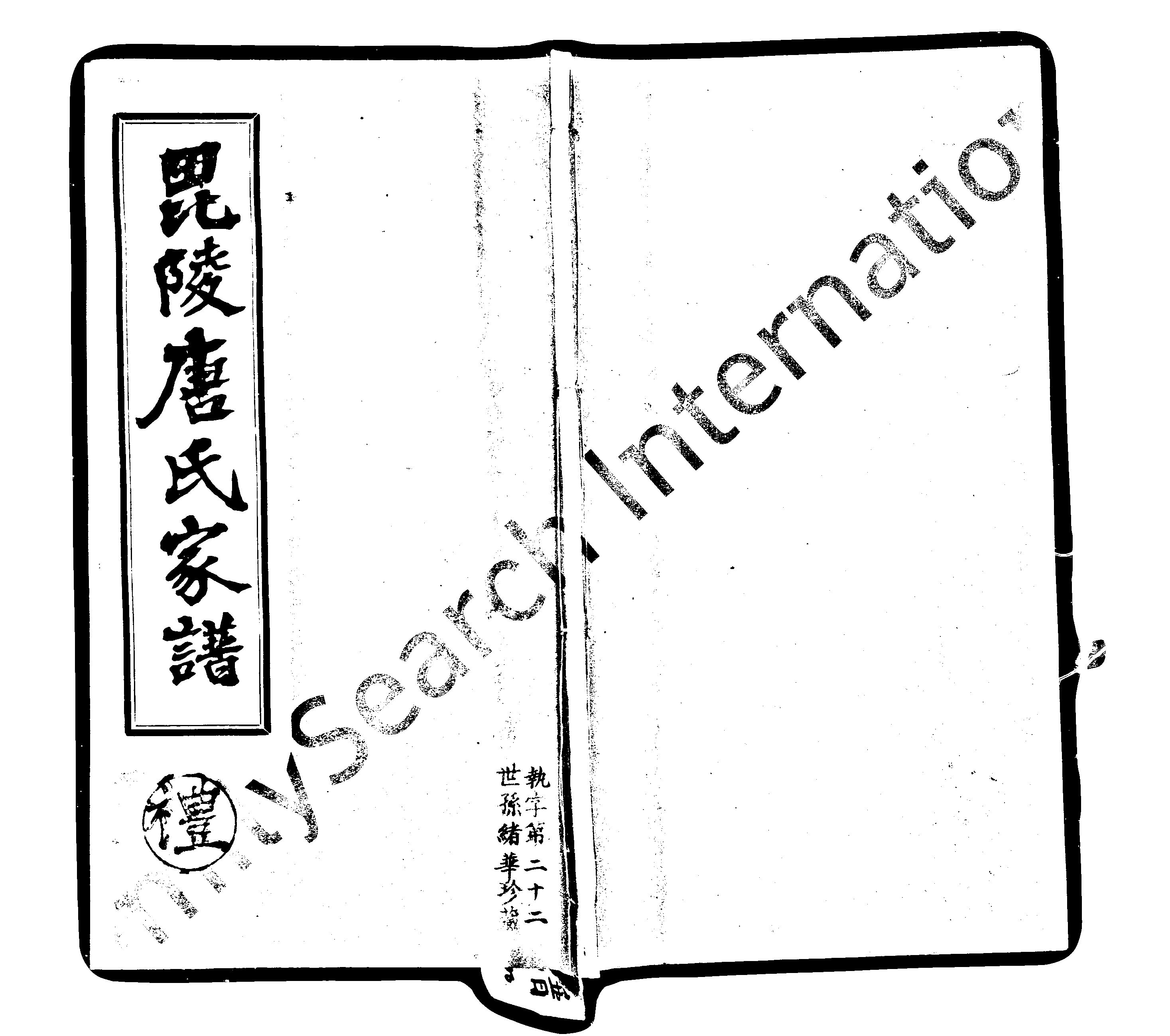 家谱第一张图片