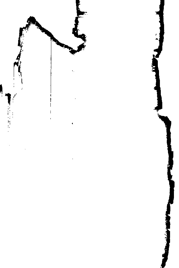 家谱第一张图片