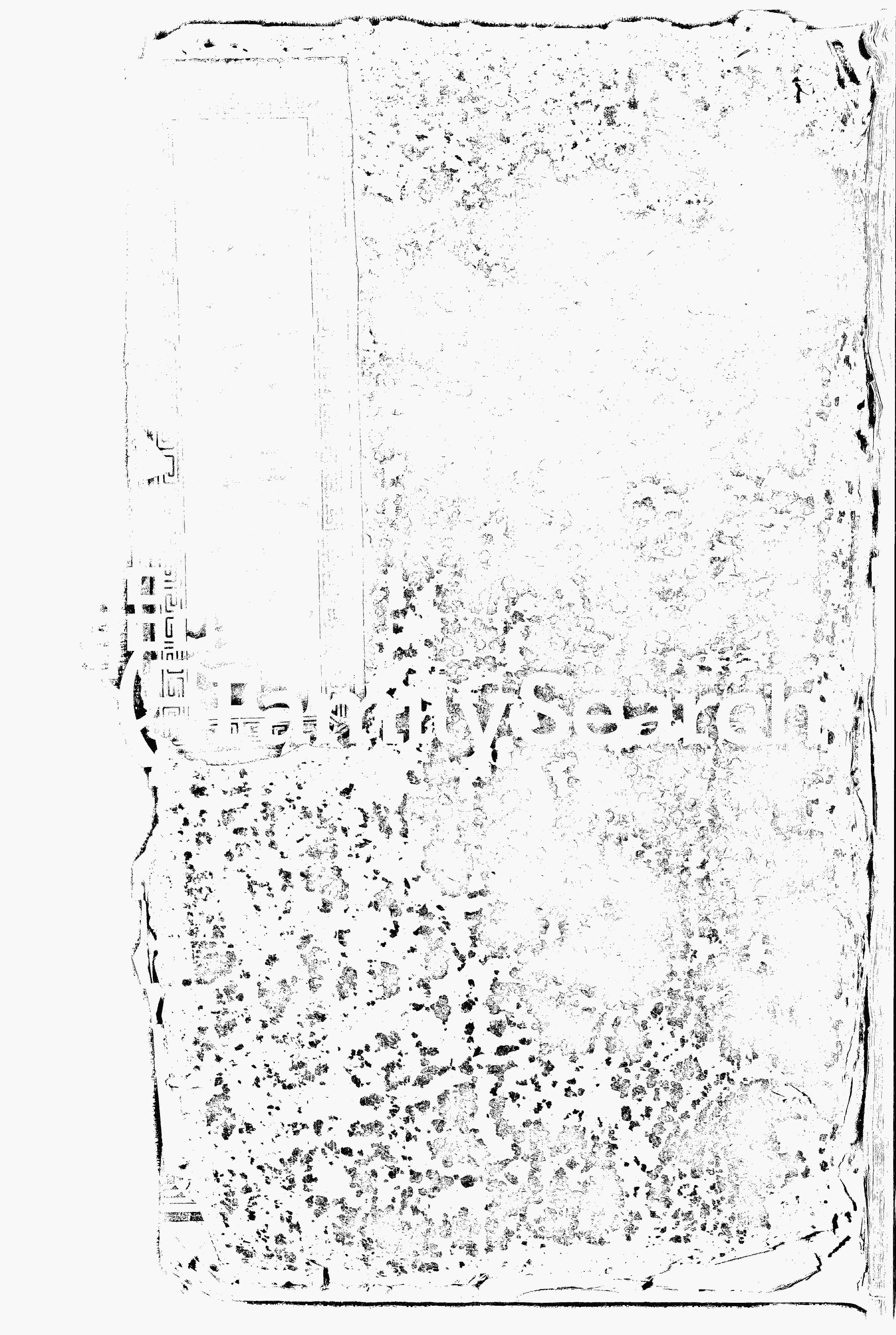 家谱第一张图片