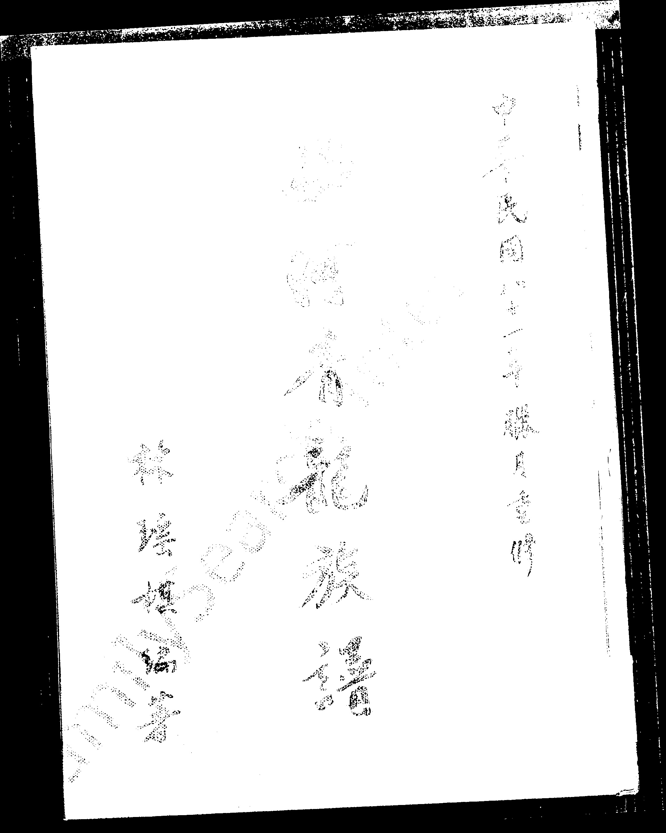 家谱第一张图片