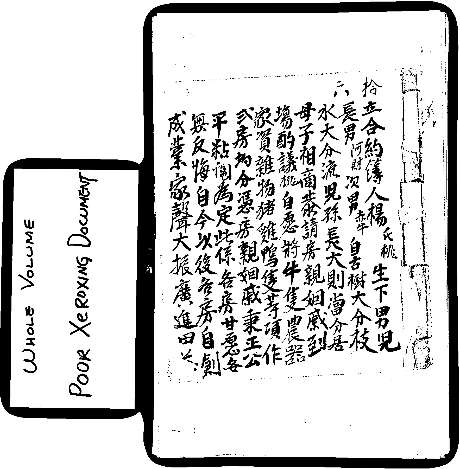 家谱第一张图片