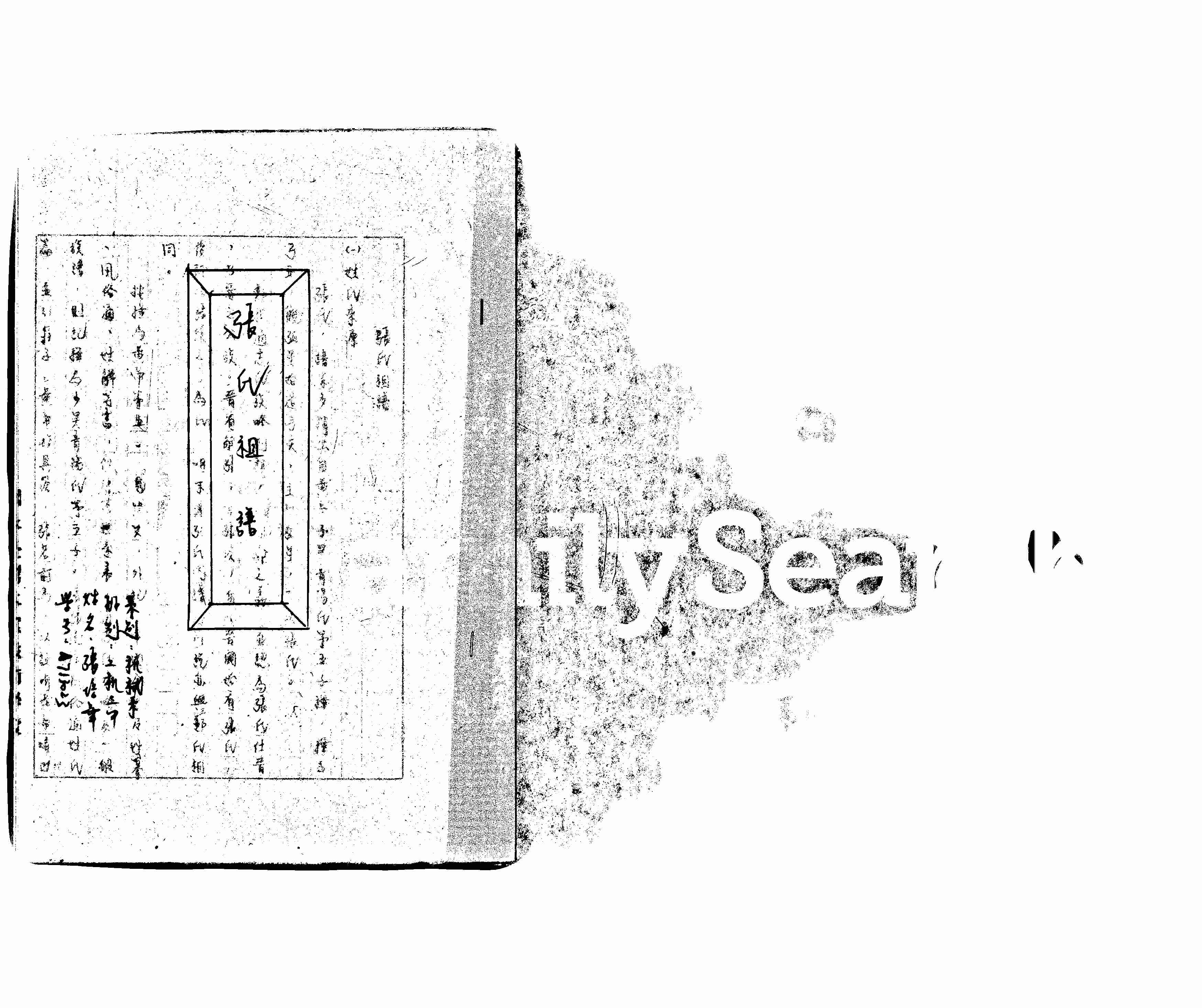 家谱第一张图片