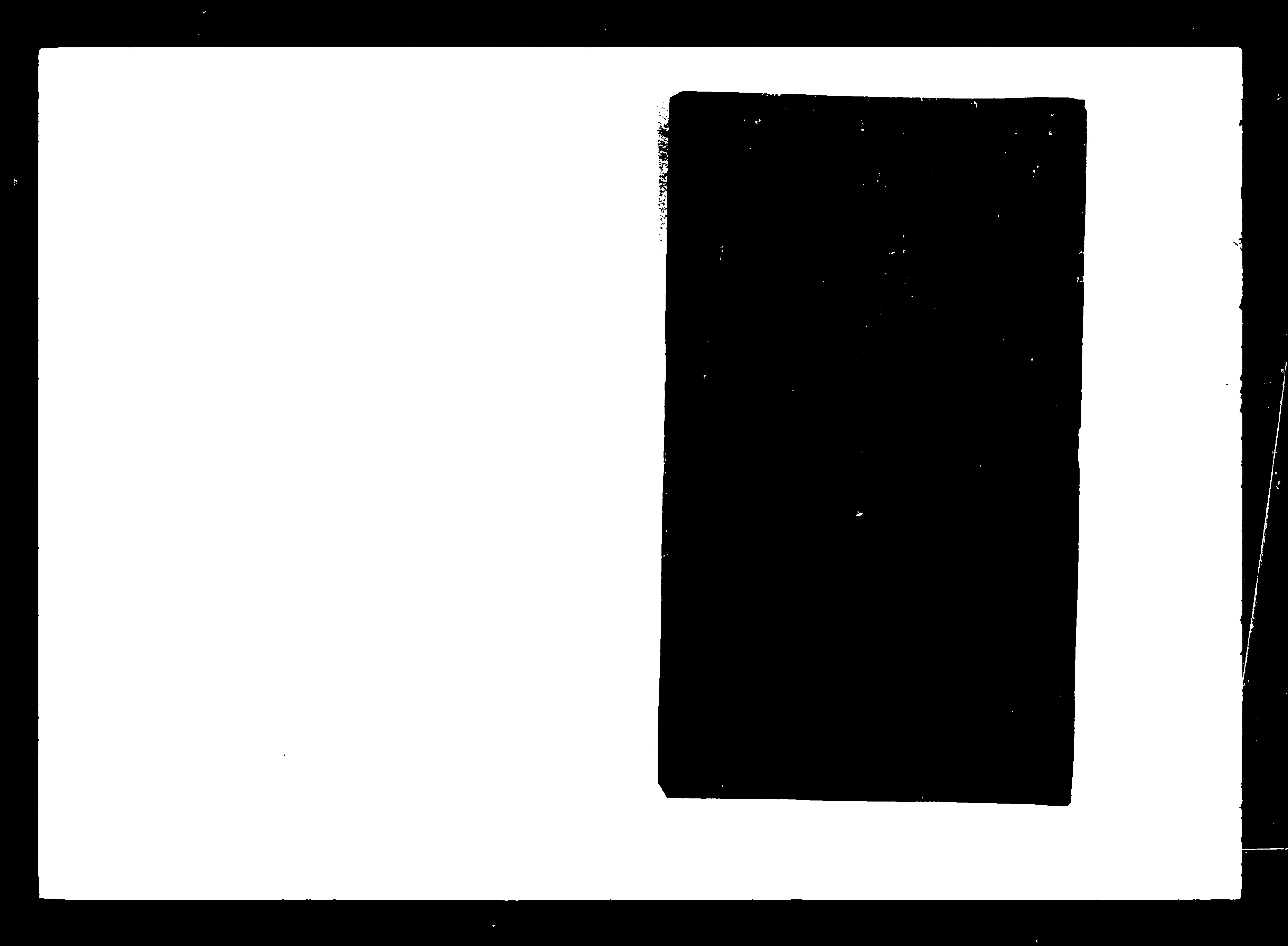 家谱第一张图片