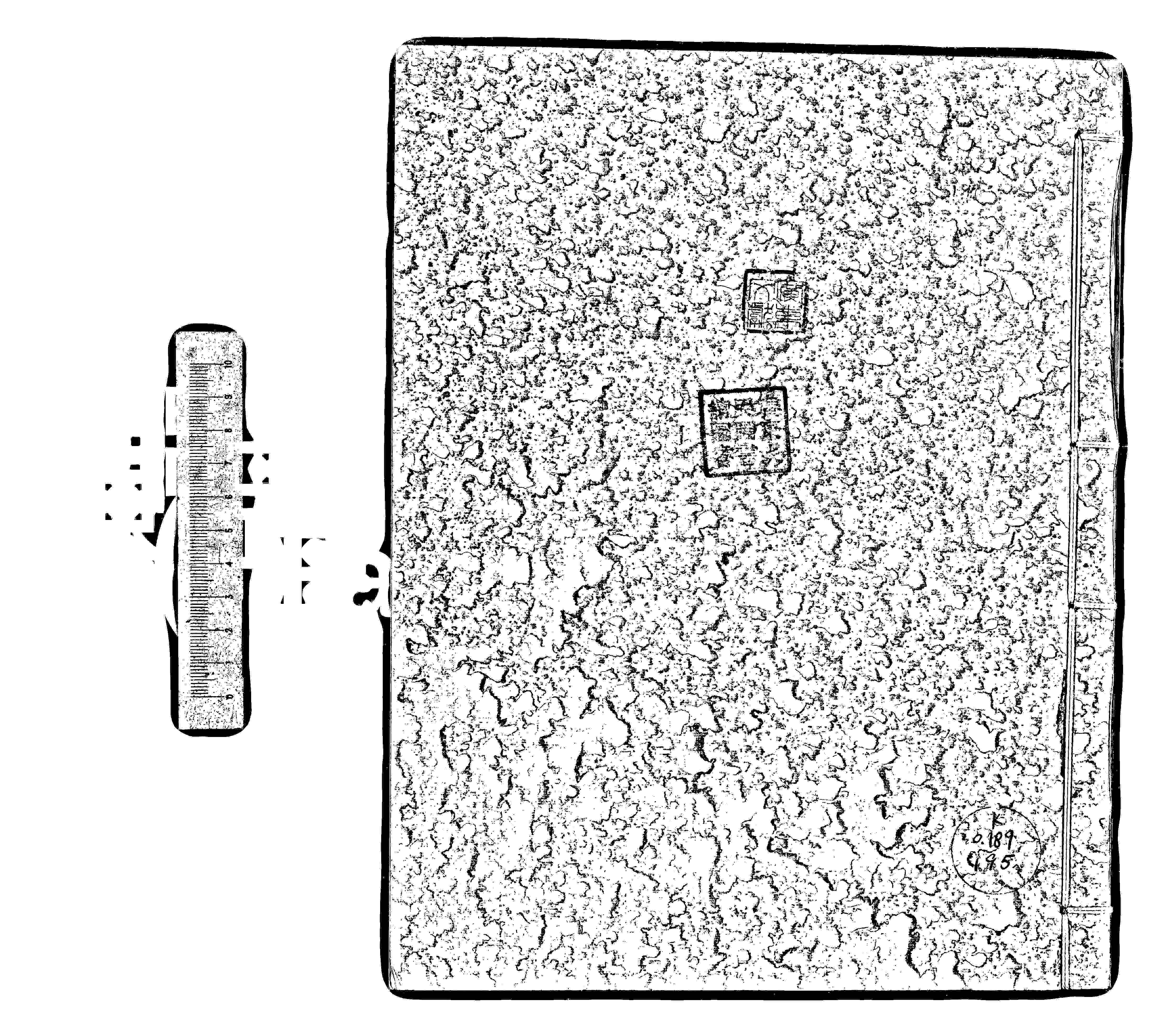 家谱第一张图片