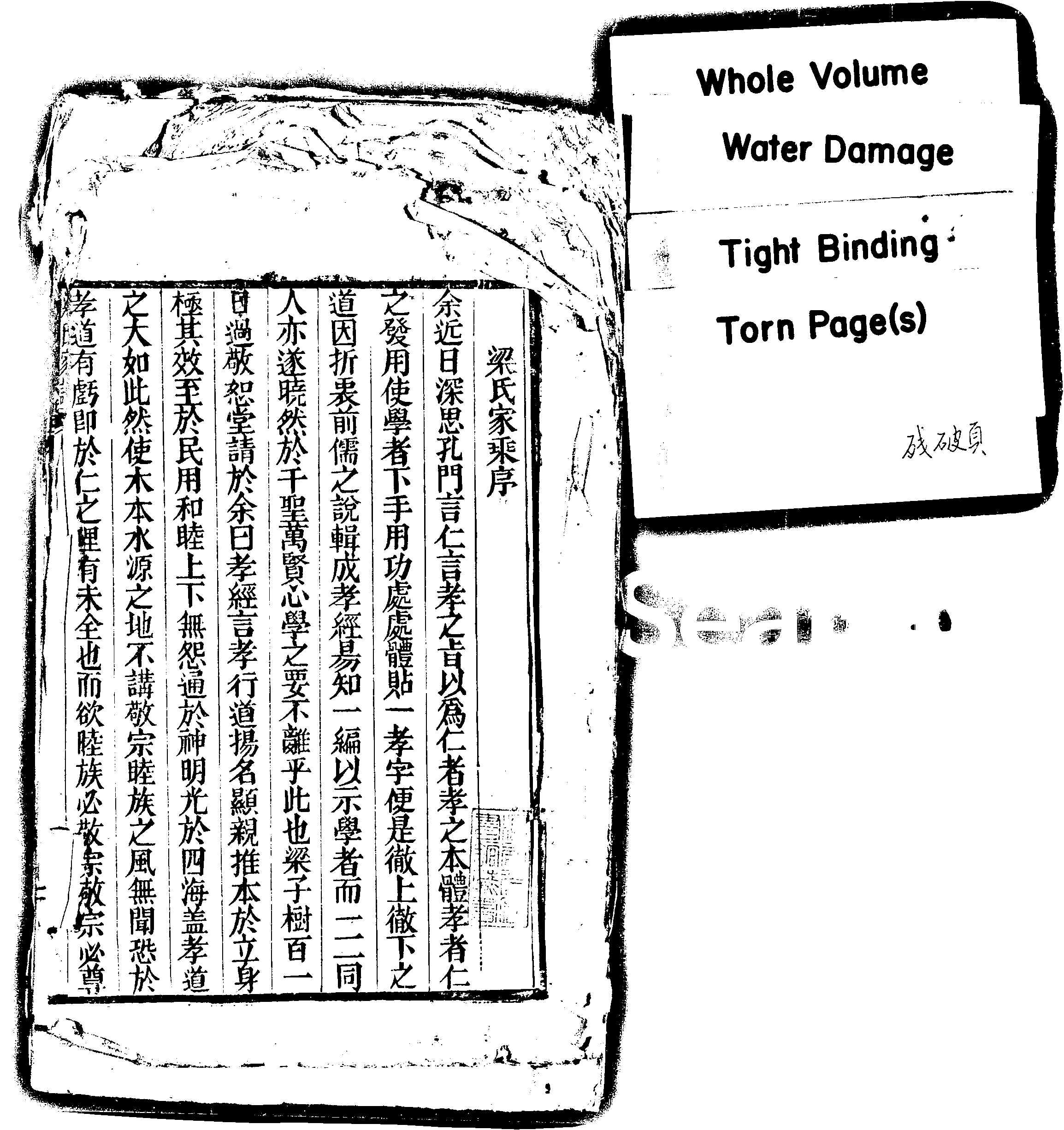 家谱第一张图片