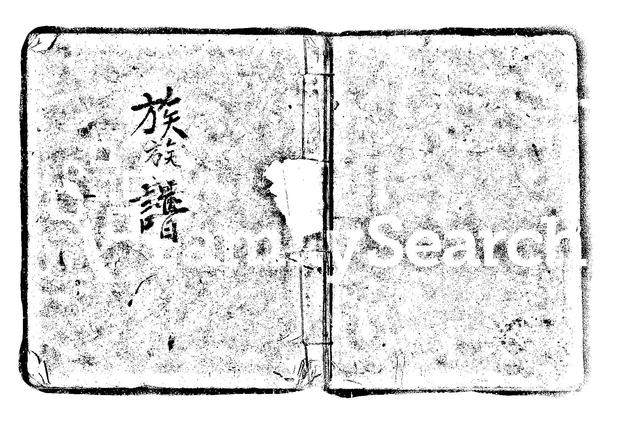 家谱第一张图片