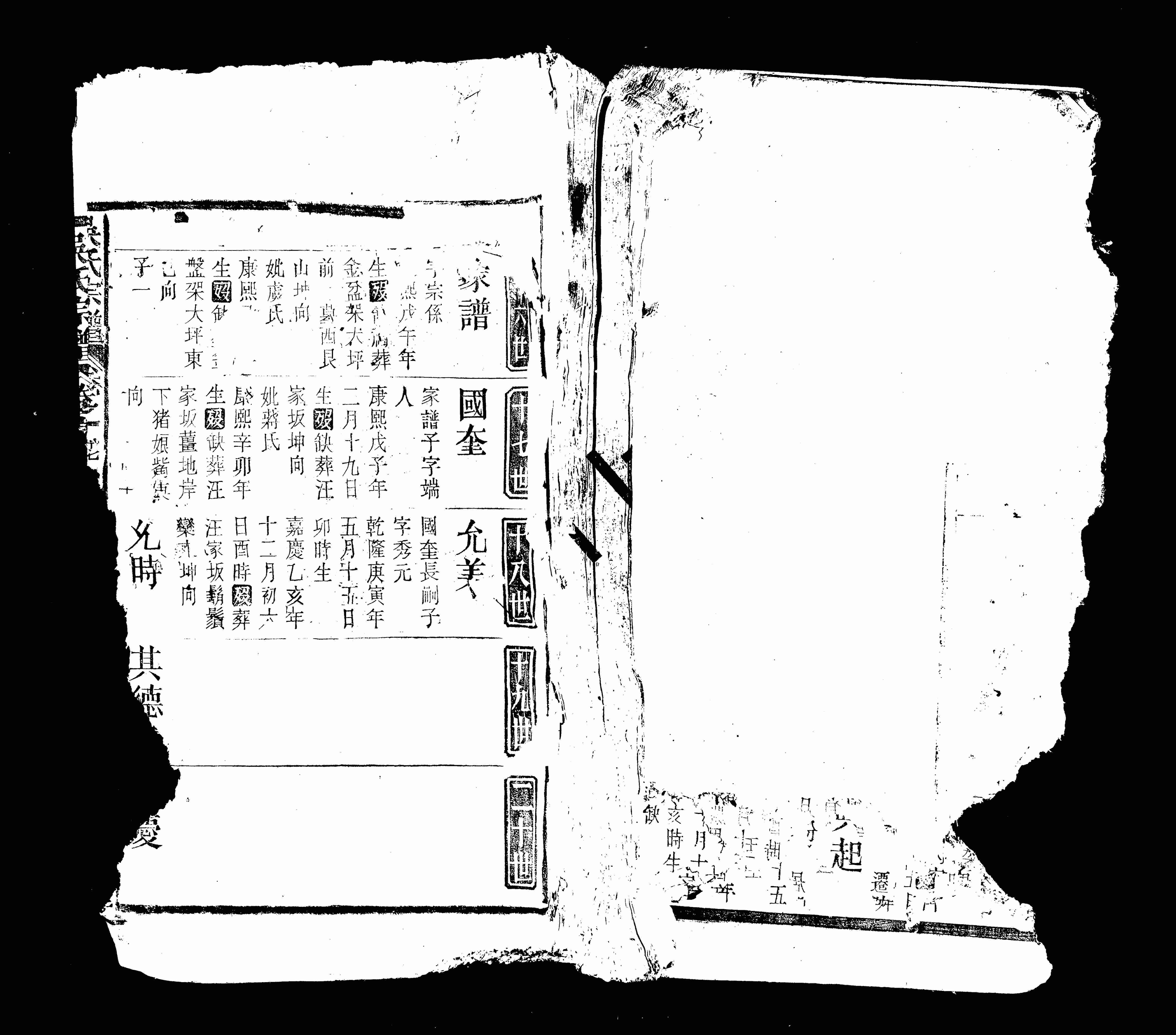 家谱第一张图片