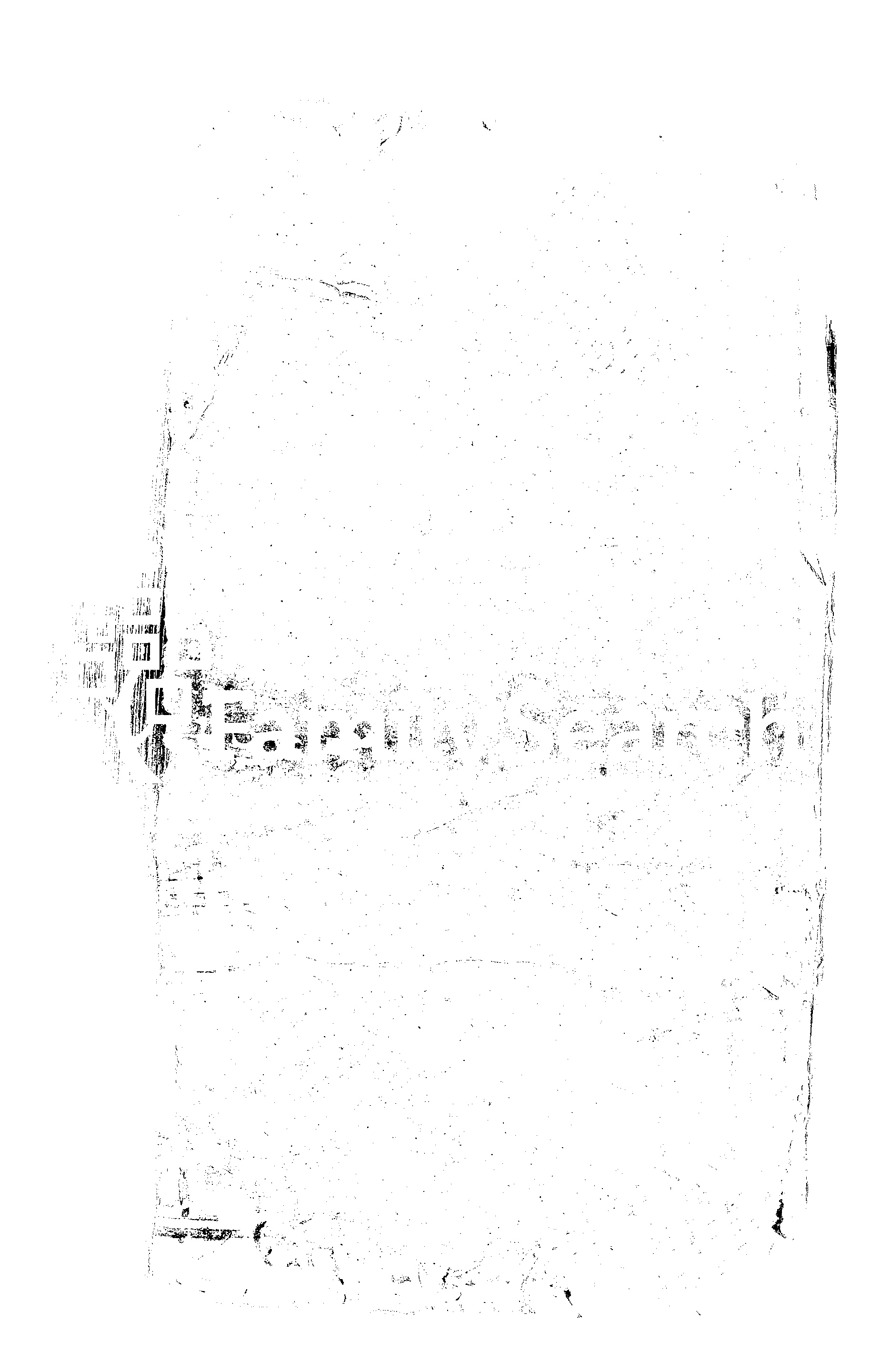 家谱第一张图片