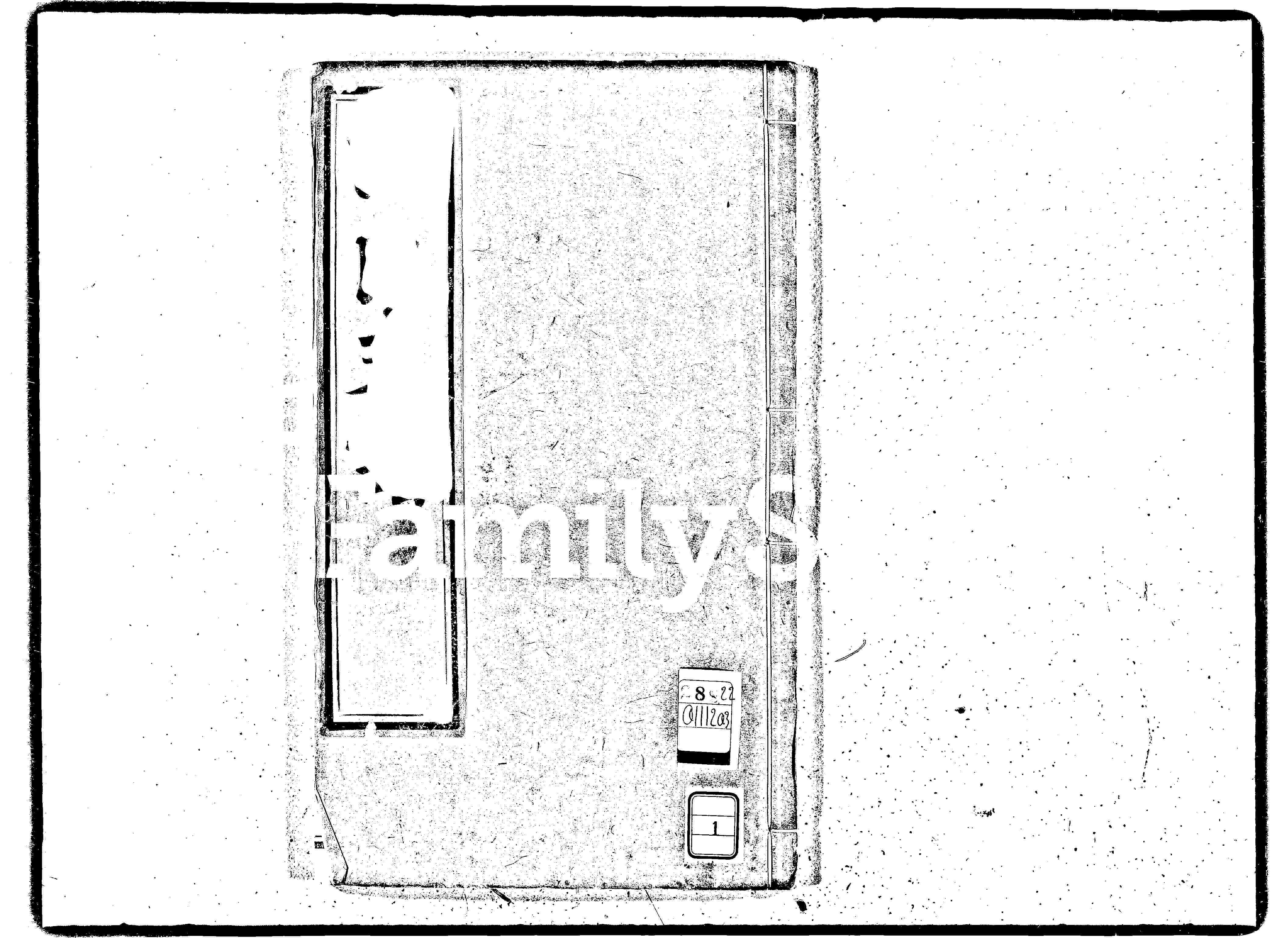 家谱第一张图片