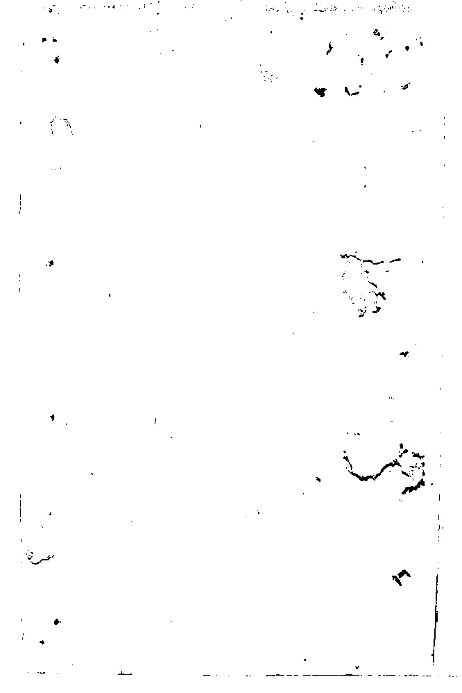 家谱第一张图片