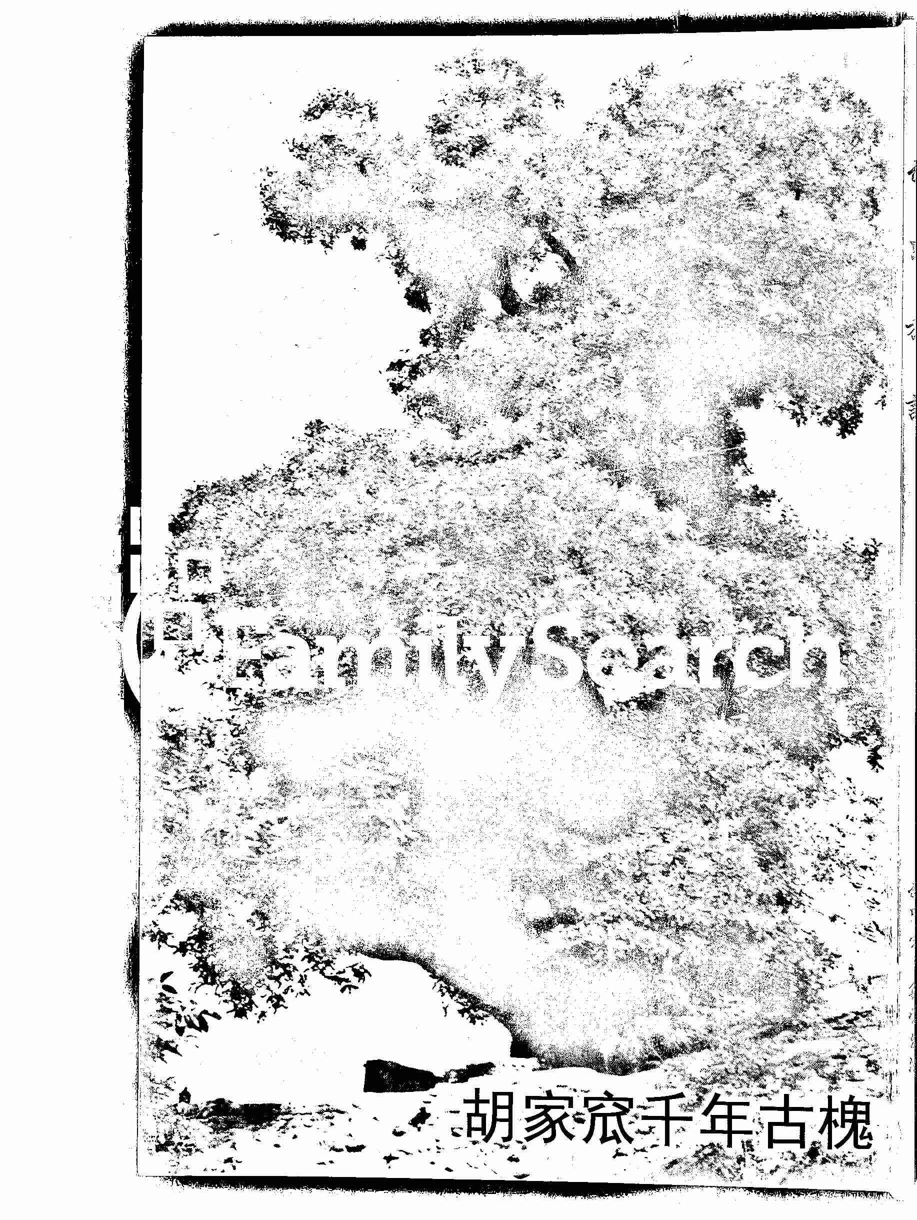 家谱第一张图片