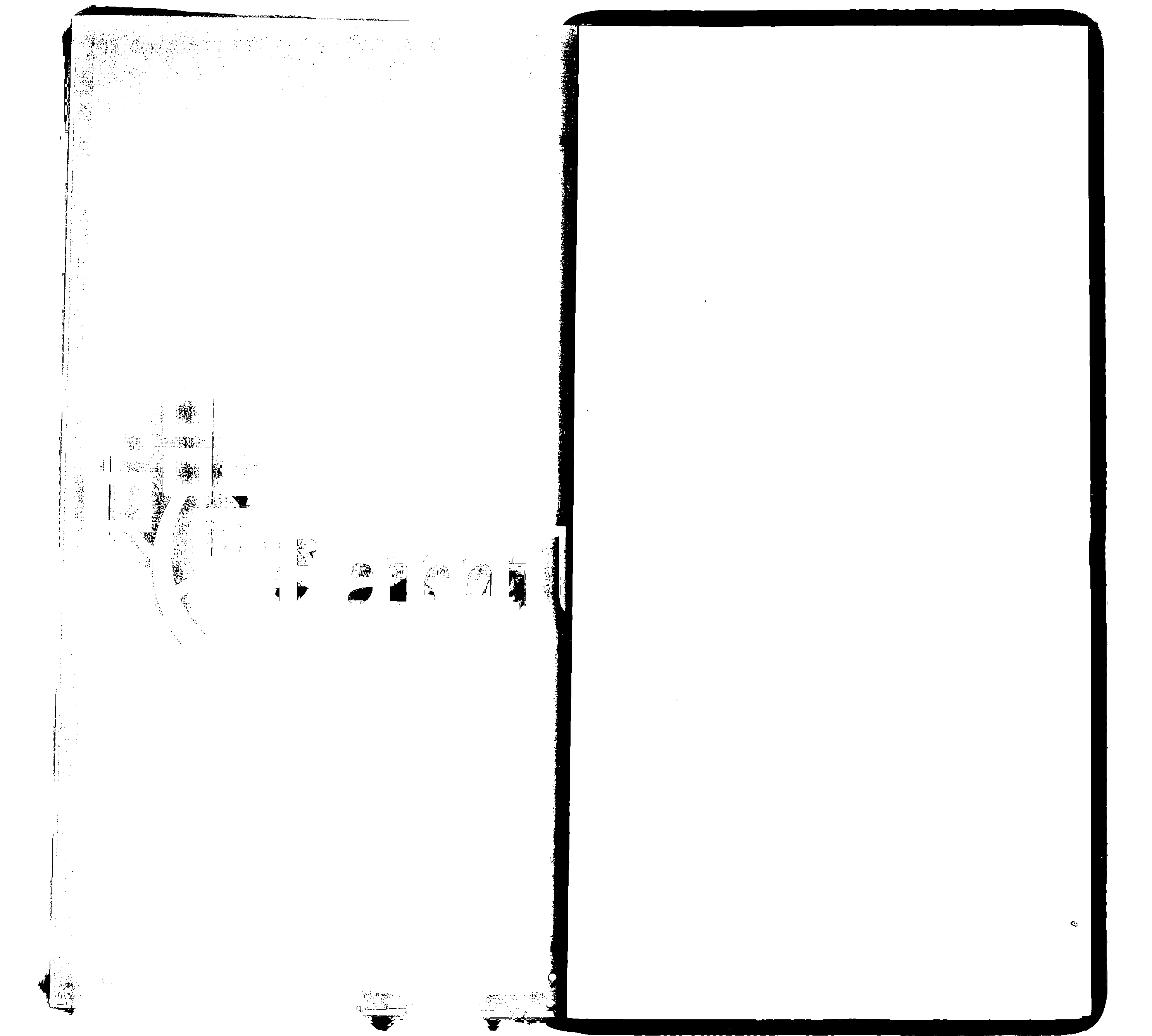 家谱第一张图片