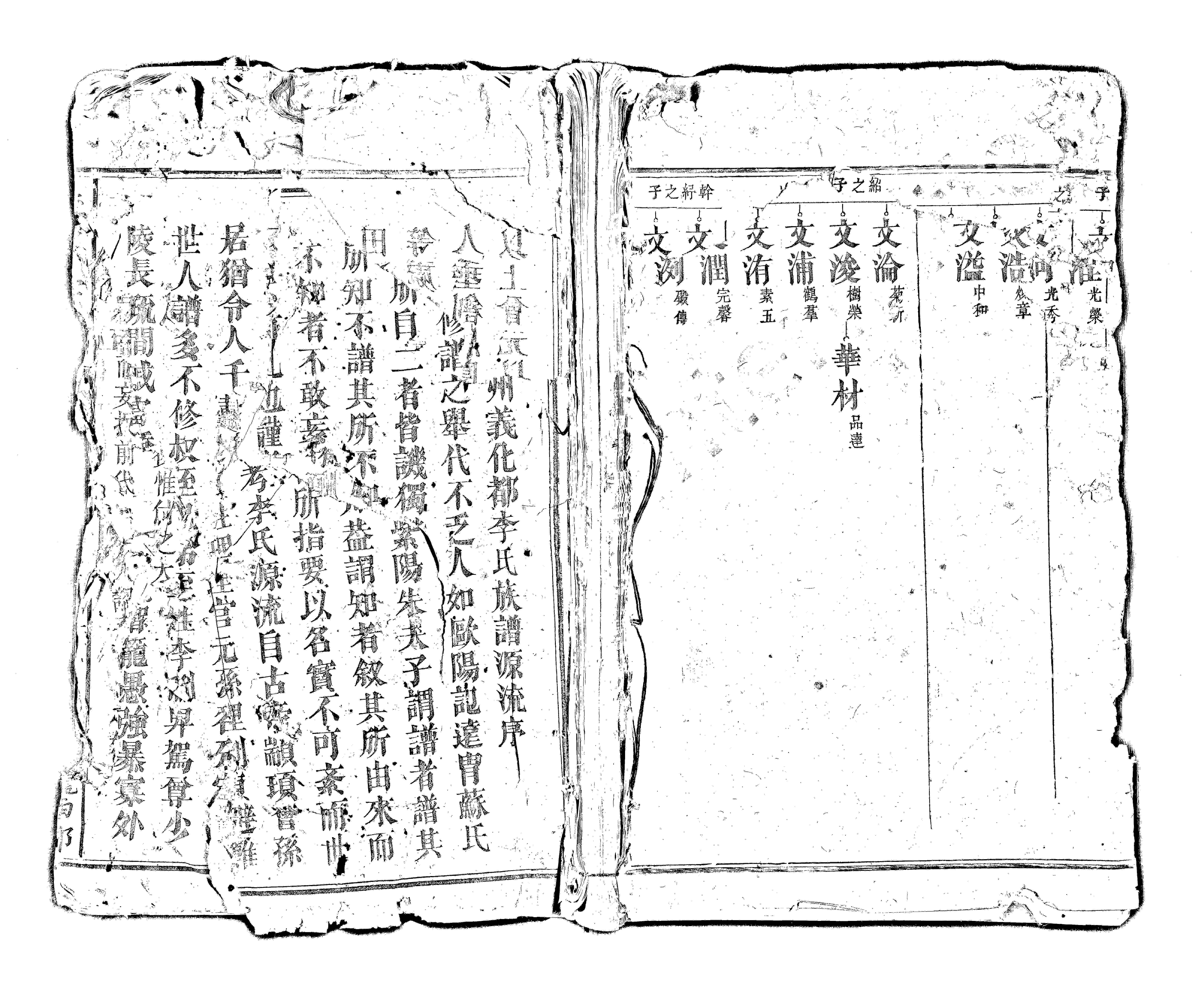 家谱第一张图片