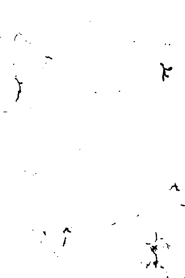 家谱第一张图片