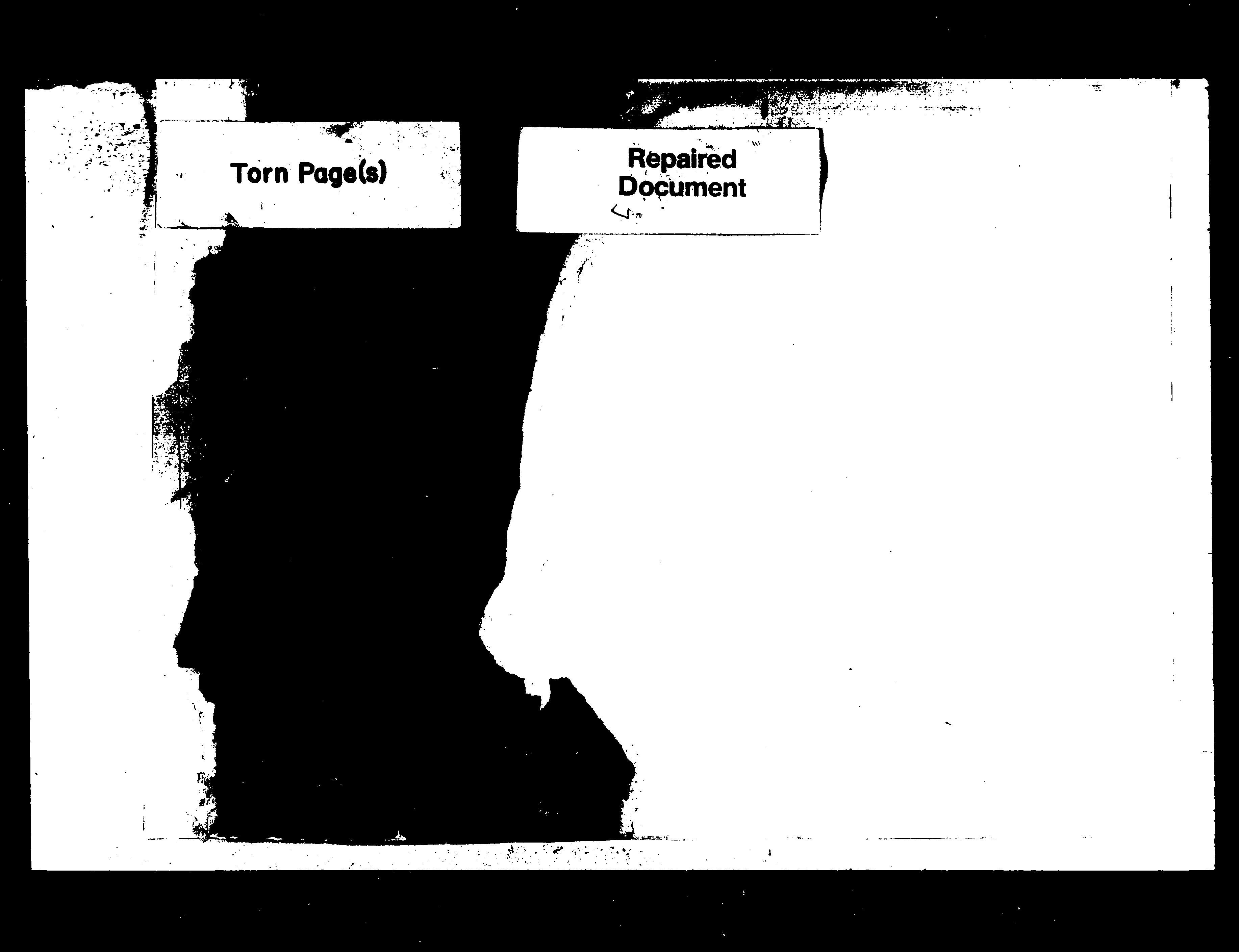 家谱第一张图片