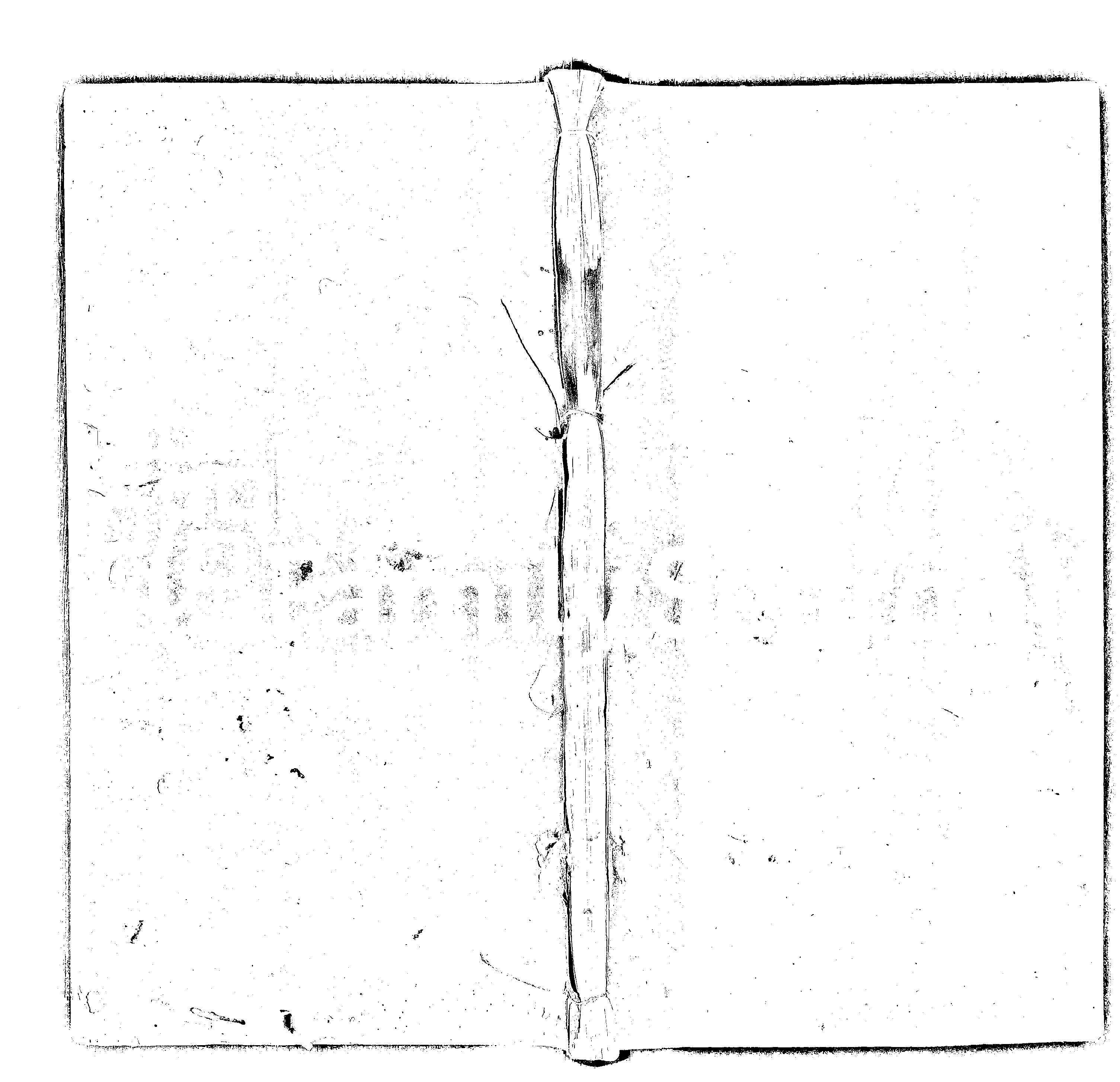 家谱第一张图片