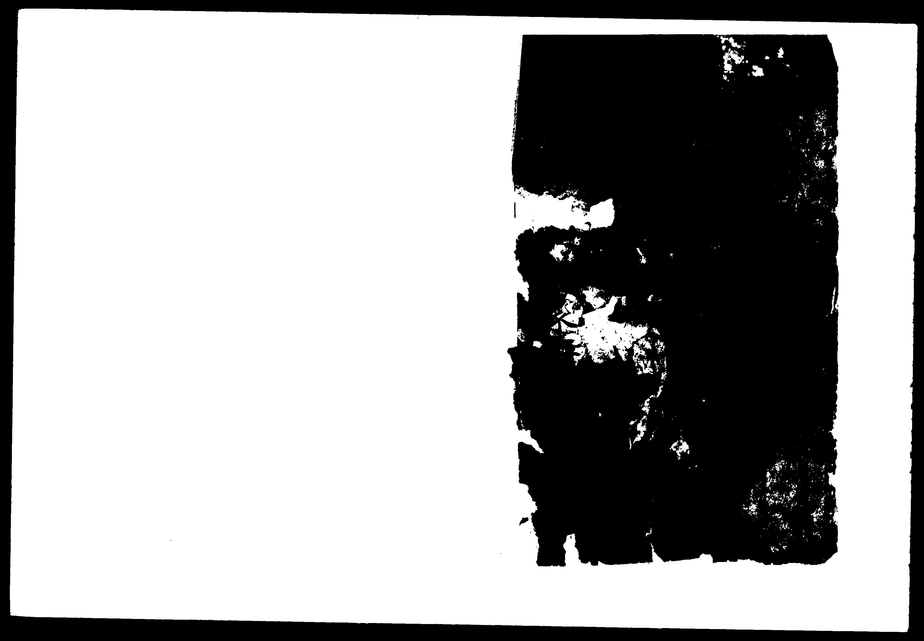 家谱第一张图片