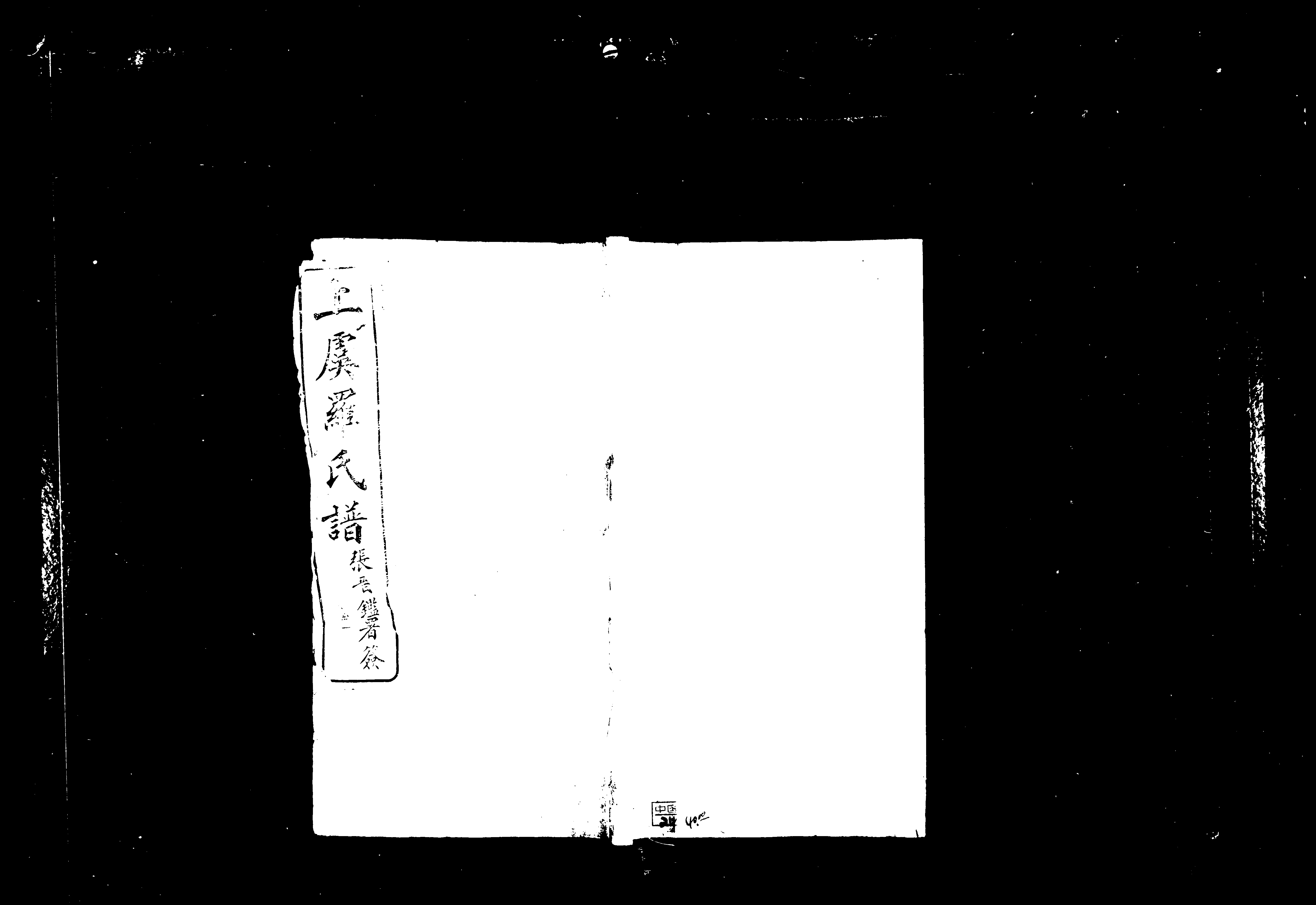 家谱第一张图片