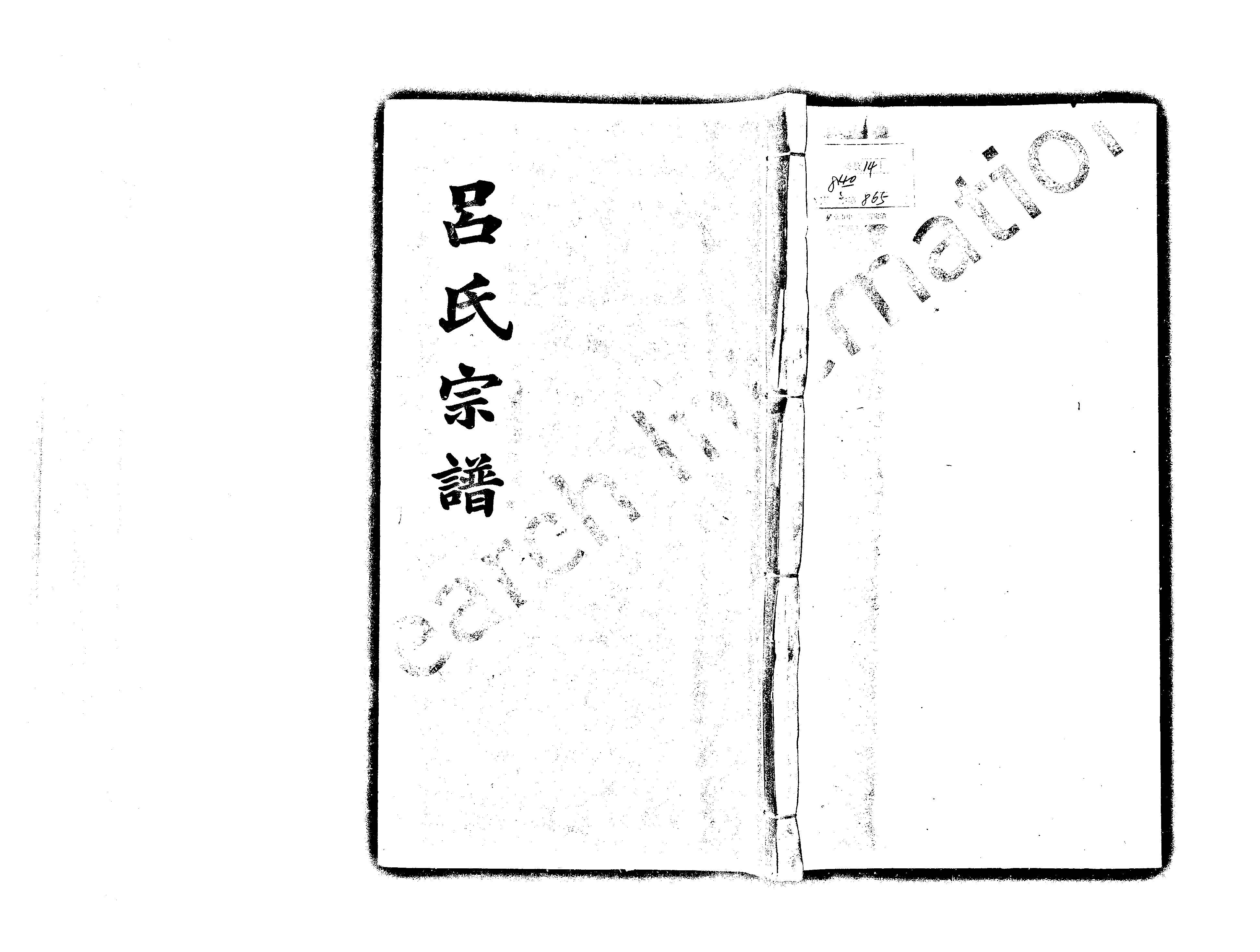 家谱第一张图片