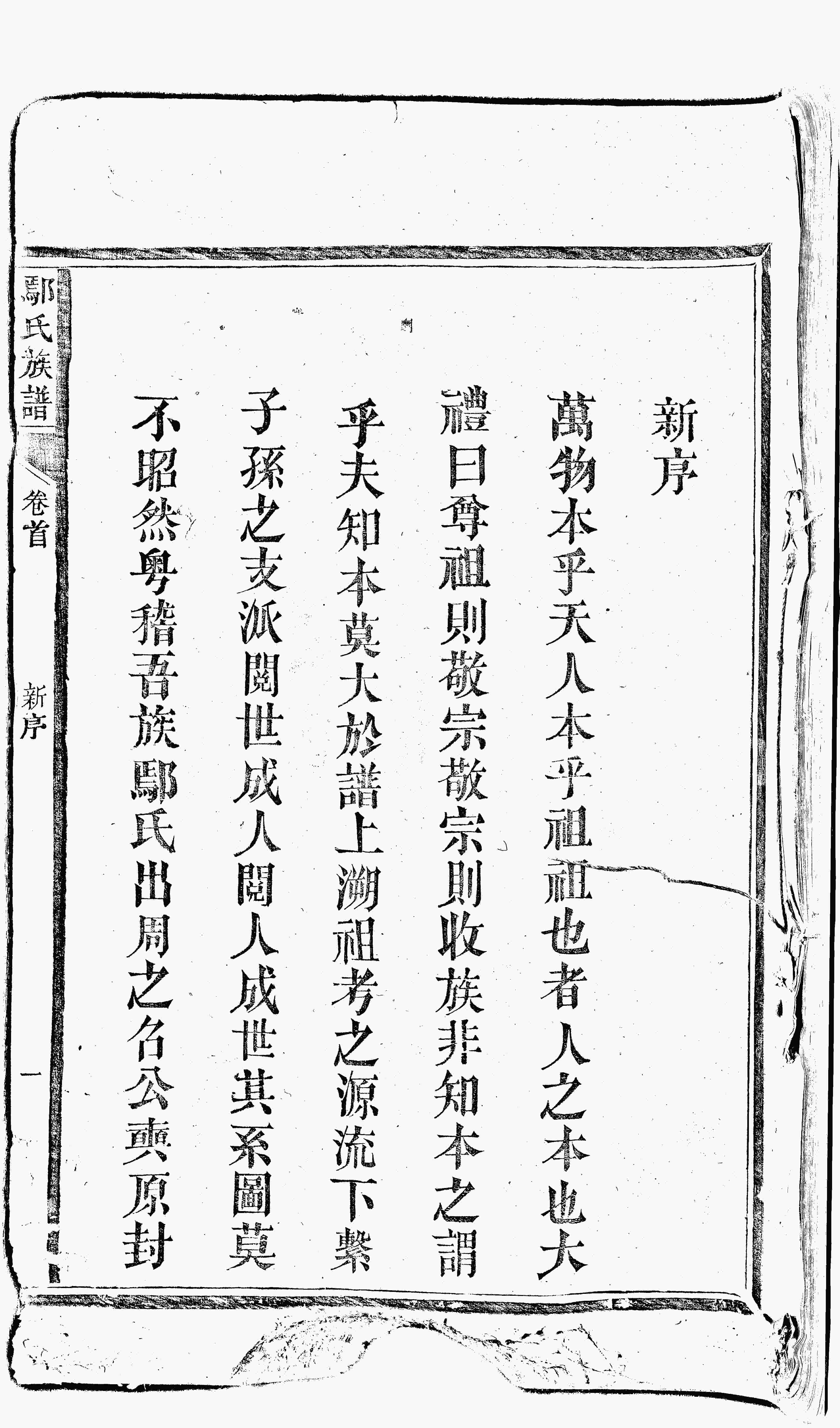 家谱第一张图片