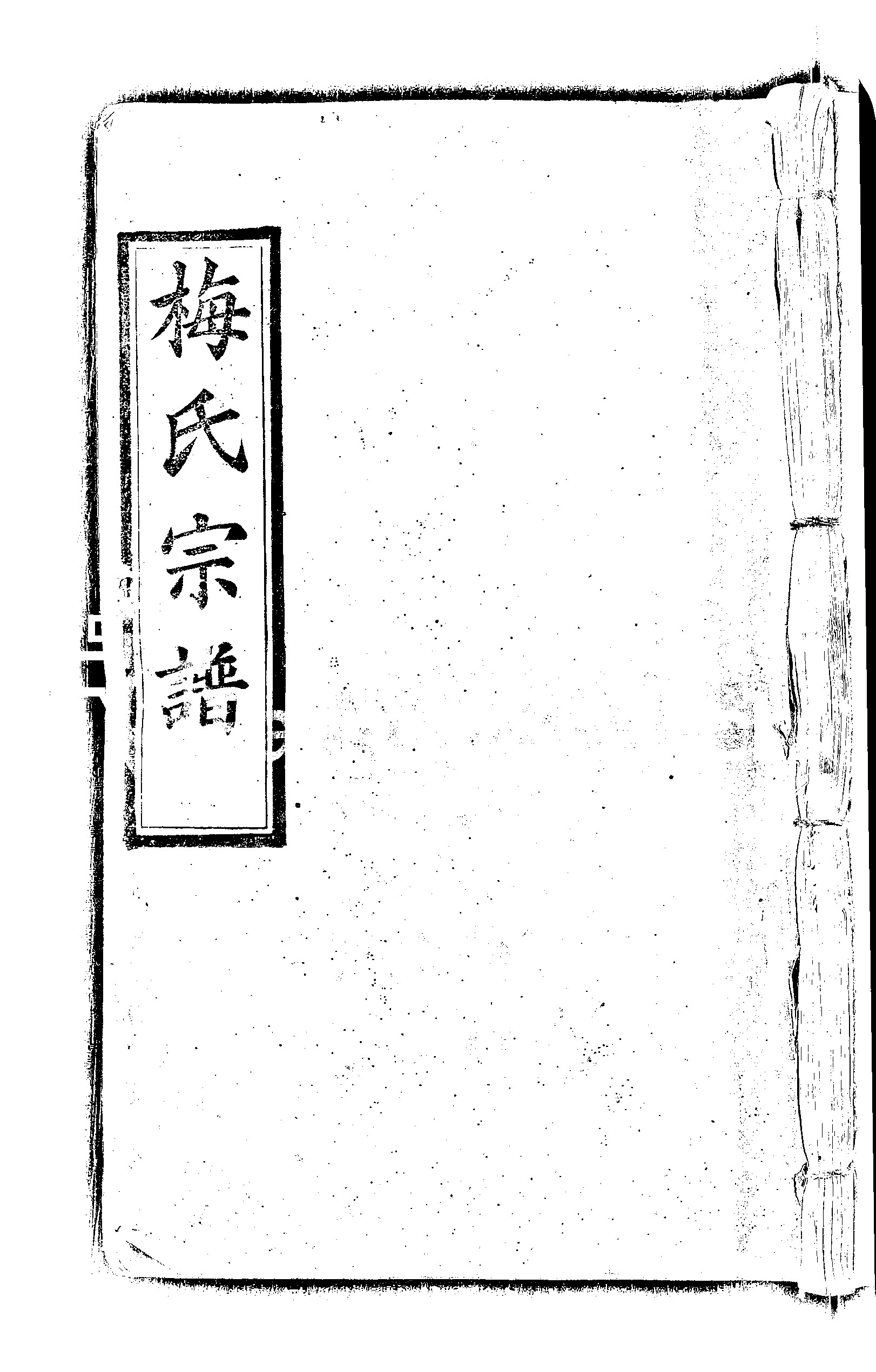 家谱第一张图片