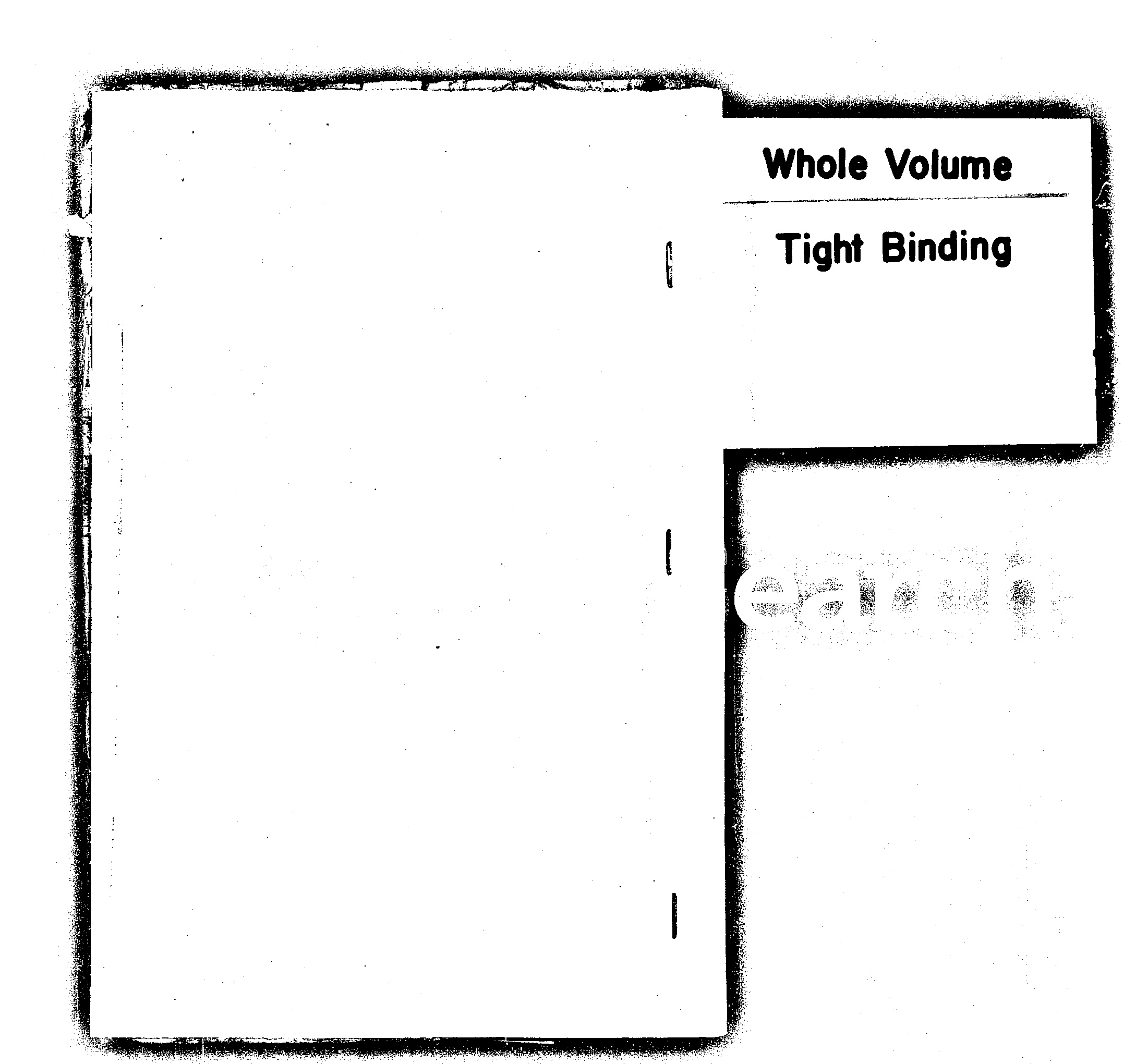 家谱第一张图片