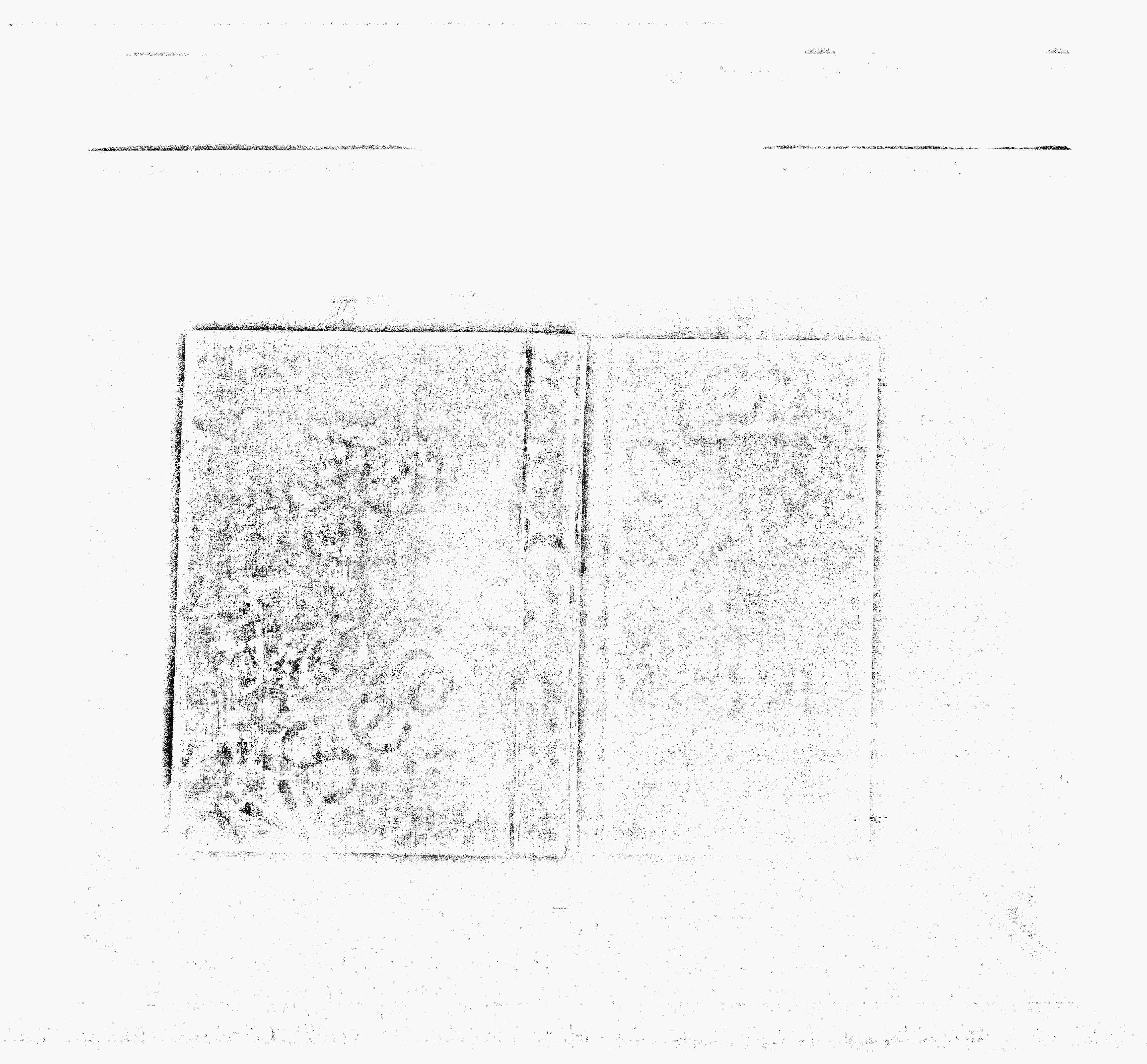 家谱第一张图片