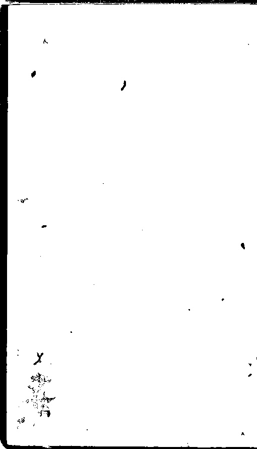 家谱第一张图片