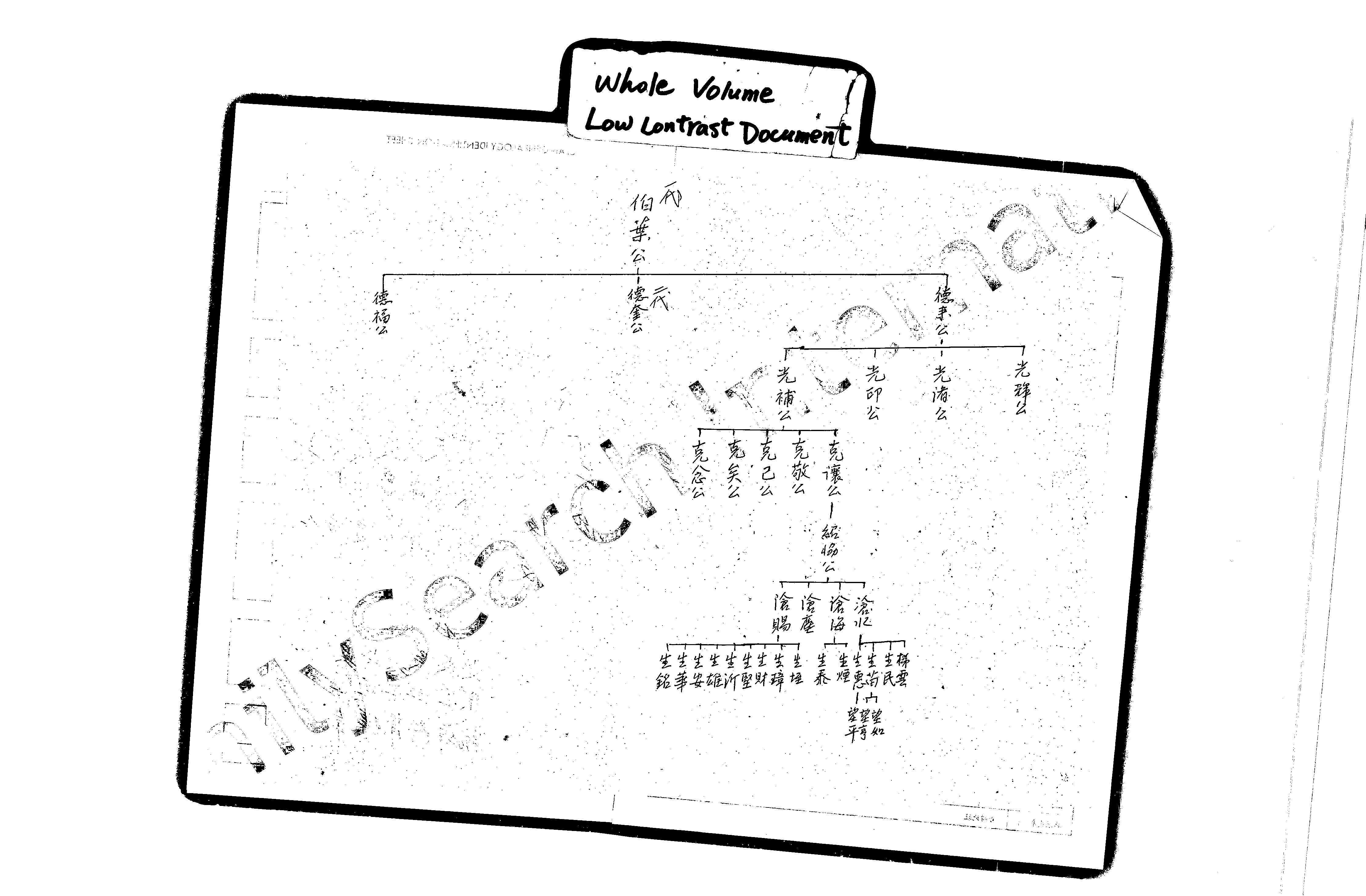 家谱第一张图片