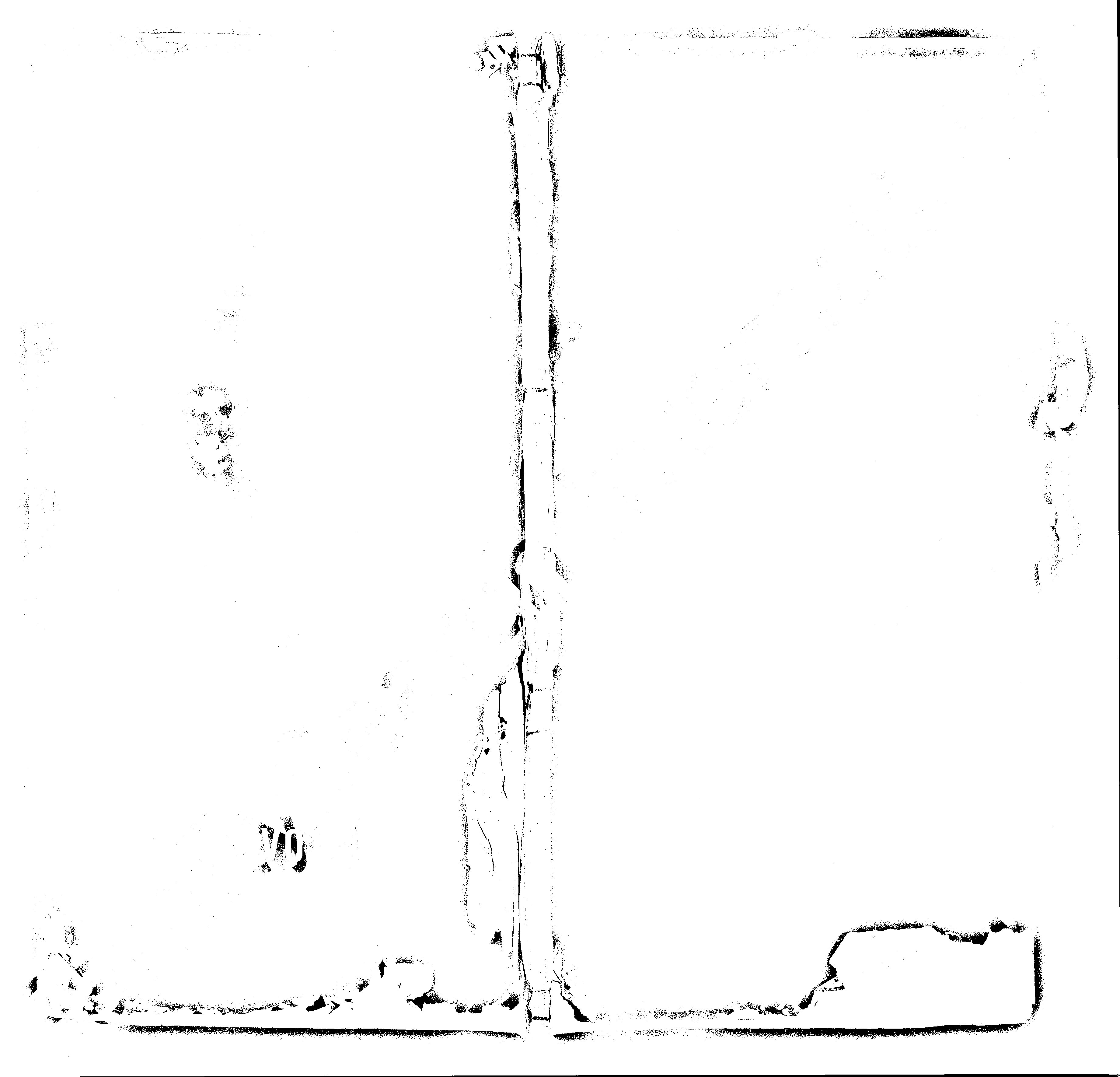 家谱第一张图片