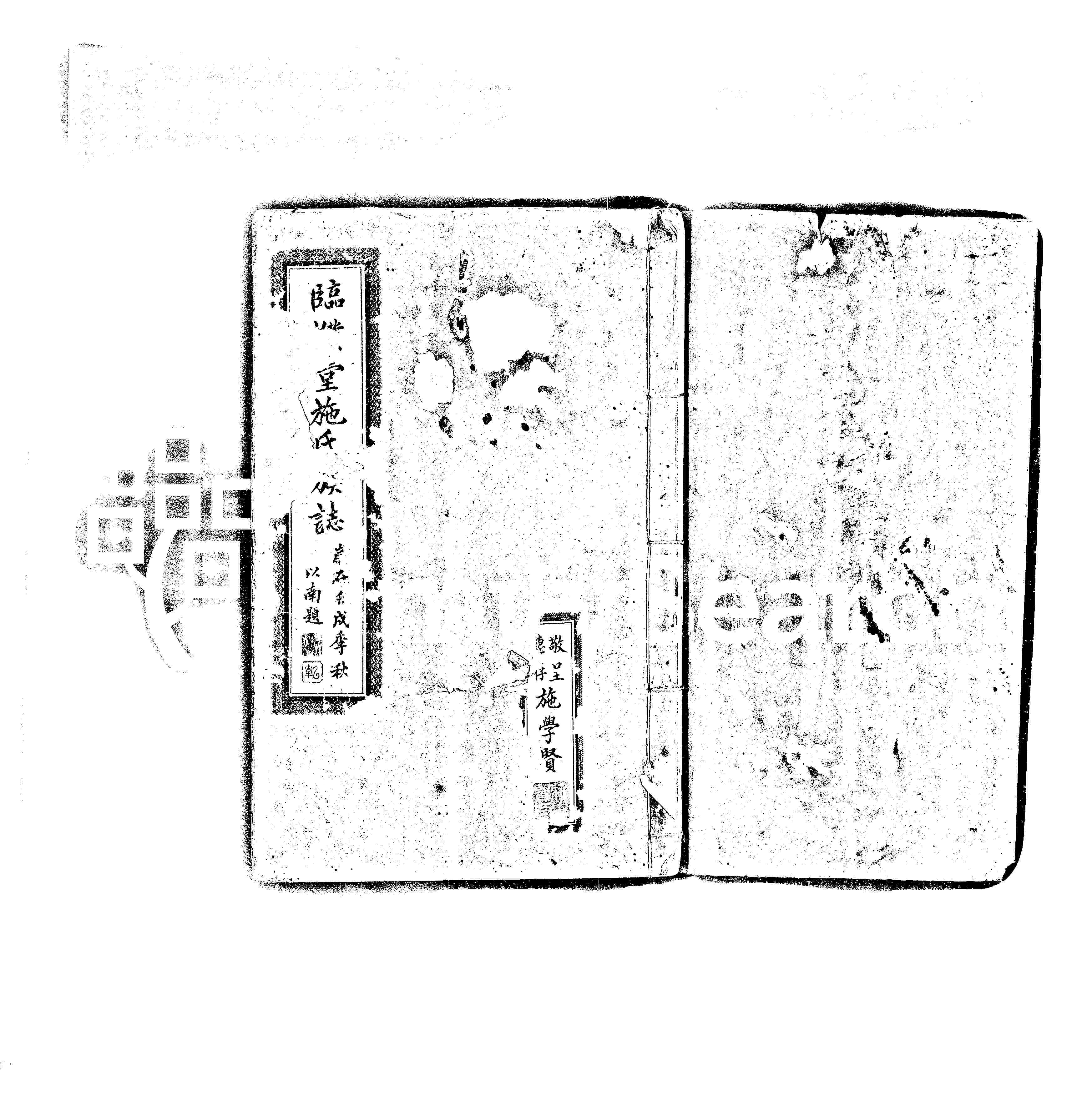 家谱第一张图片