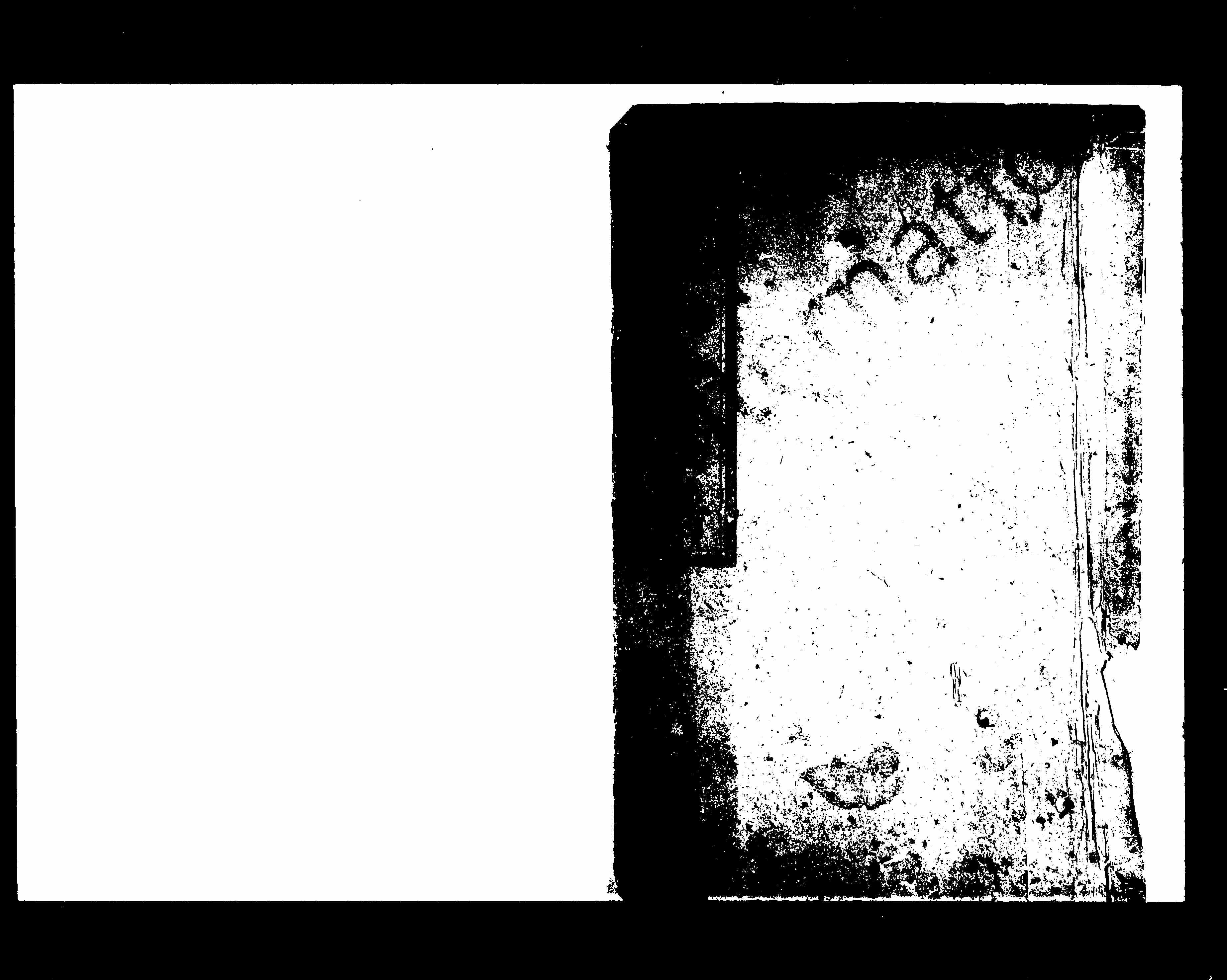 家谱第一张图片